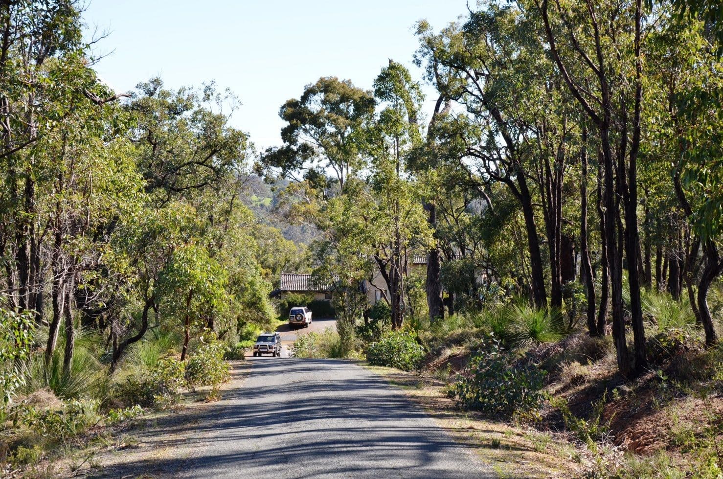 315 Reen Road, Gidgegannup WA 6083, Gidgegannup - Thumbnail 6