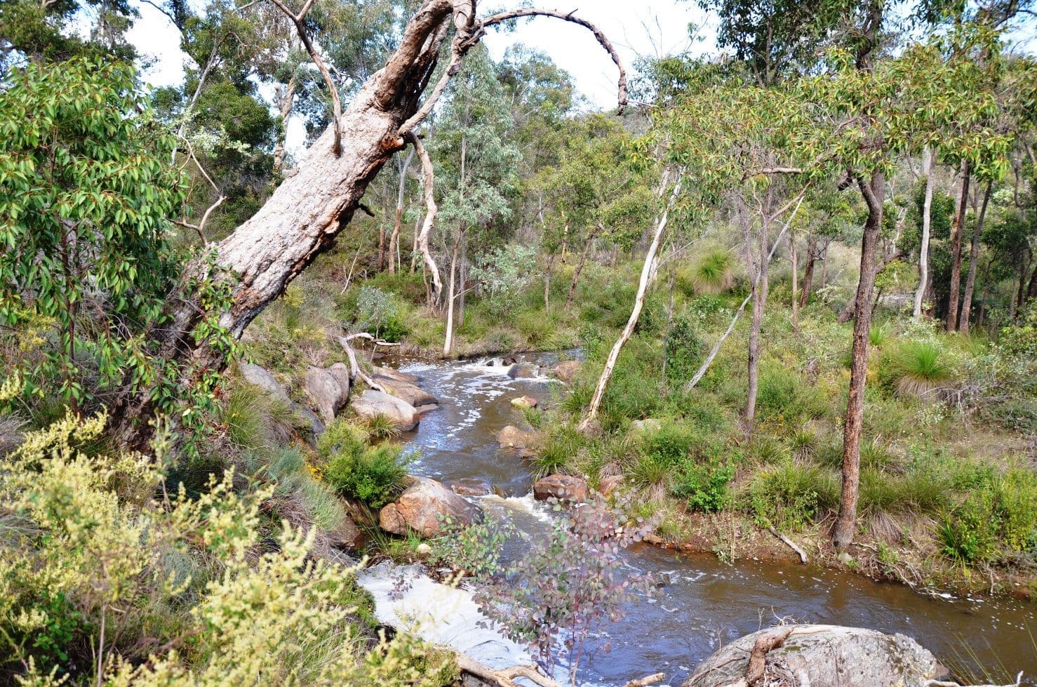 315 Reen Road, Gidgegannup WA 6083, Gidgegannup - Thumbnail 7