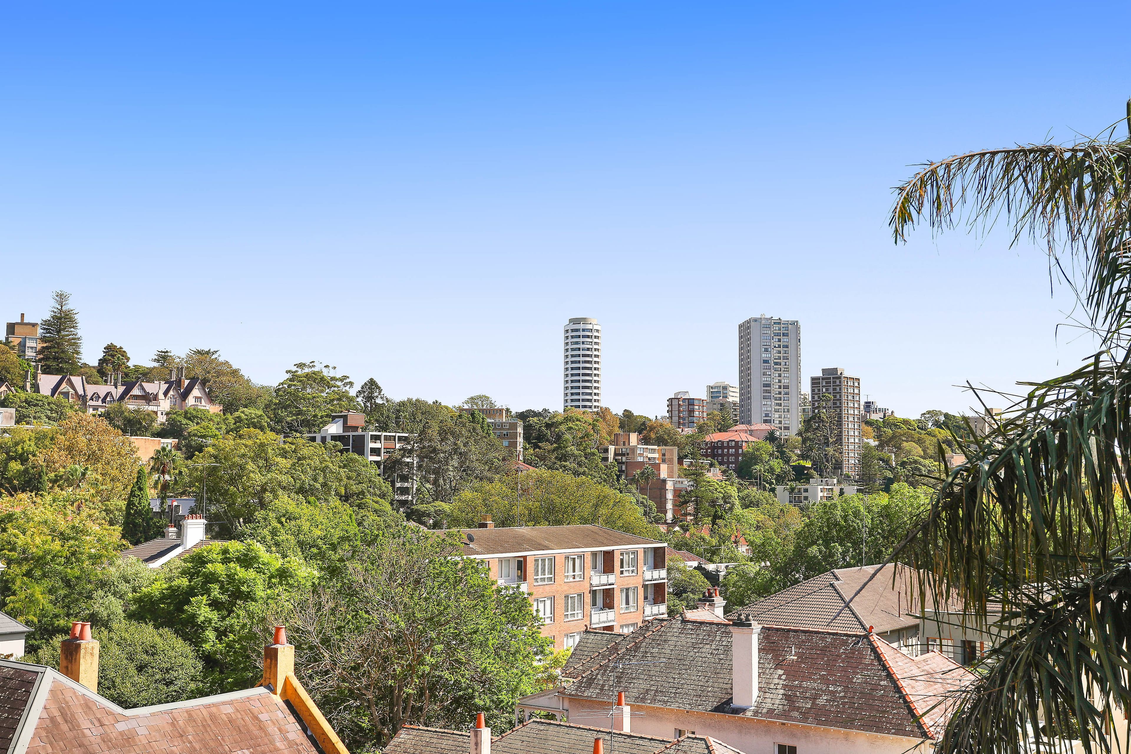 286 New South Head Road, Double Bay NSW 2028, Double Bay - Thumbnail 6