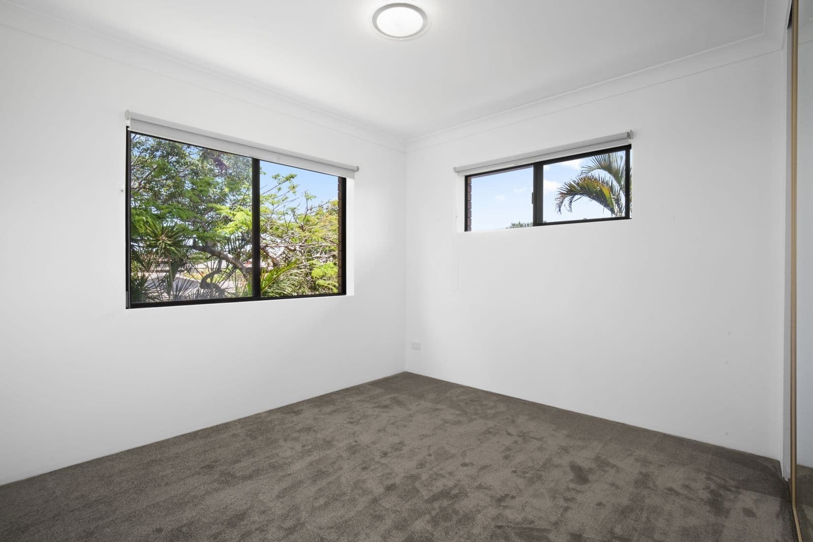 6 Twelfth Avenue, Palm Beach QLD 4221, Palm Beach - Thumbnail 7