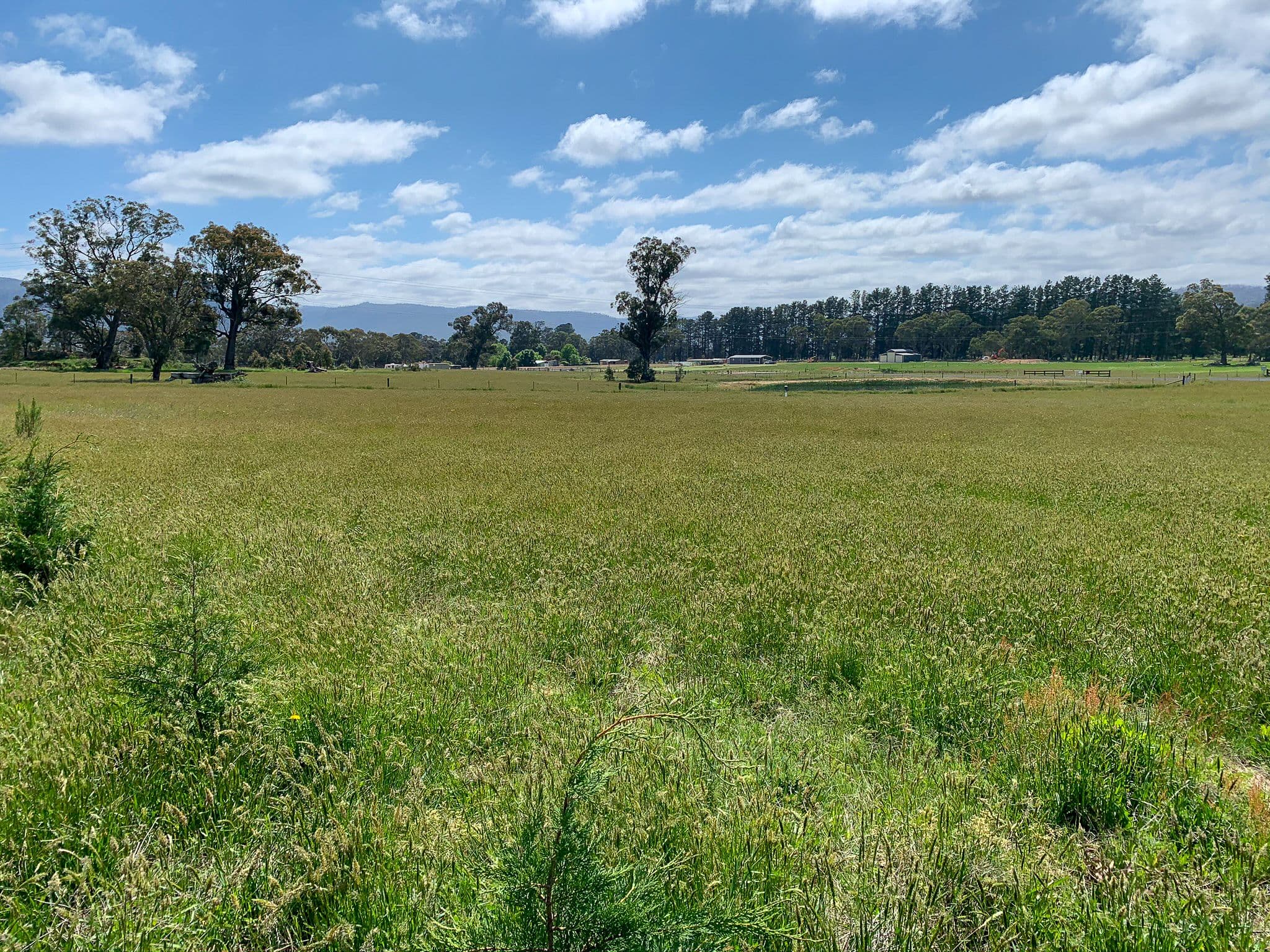 38 Bruwalin Place, Hartley NSW 2790, Hartley - Thumbnail 2