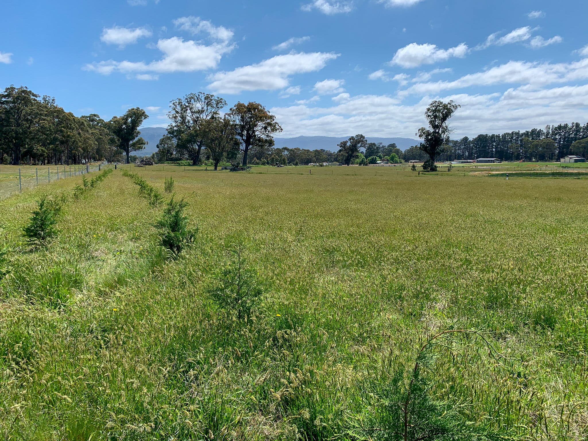 38 Bruwalin Place, Hartley NSW 2790, Hartley - Thumbnail 4
