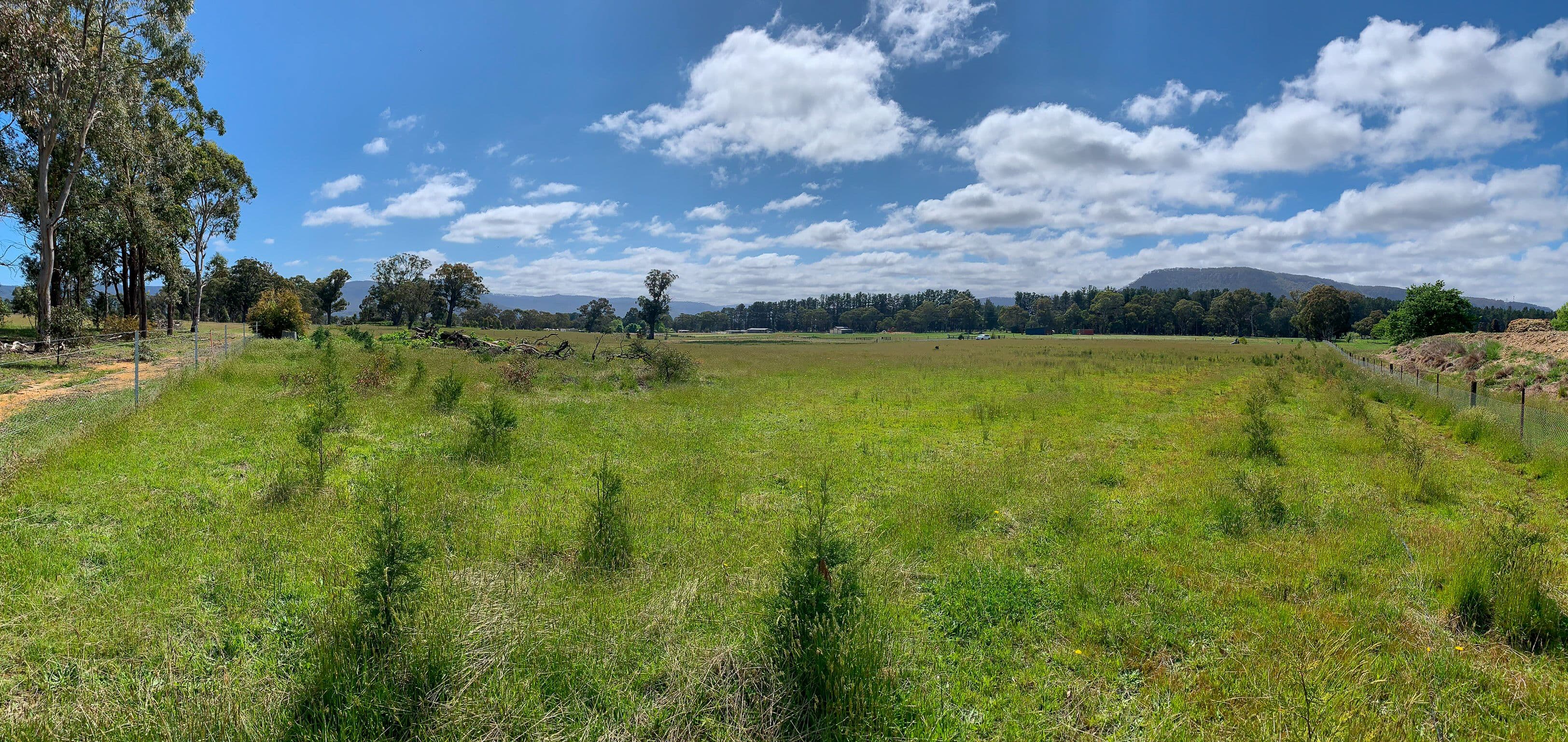 38 Bruwalin Place, Hartley NSW 2790, Hartley - Thumbnail 6