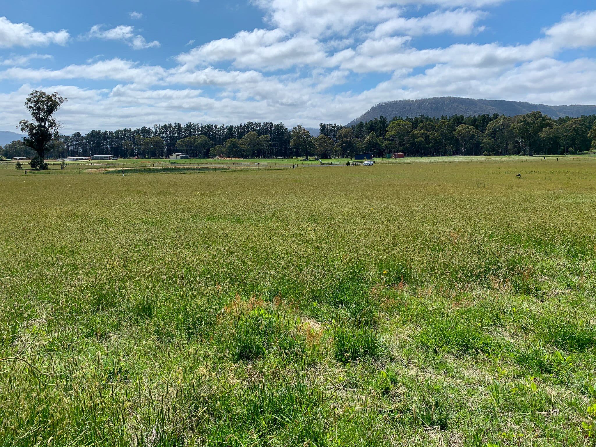 38 Bruwalin Place, Hartley NSW 2790, Hartley - Thumbnail 7