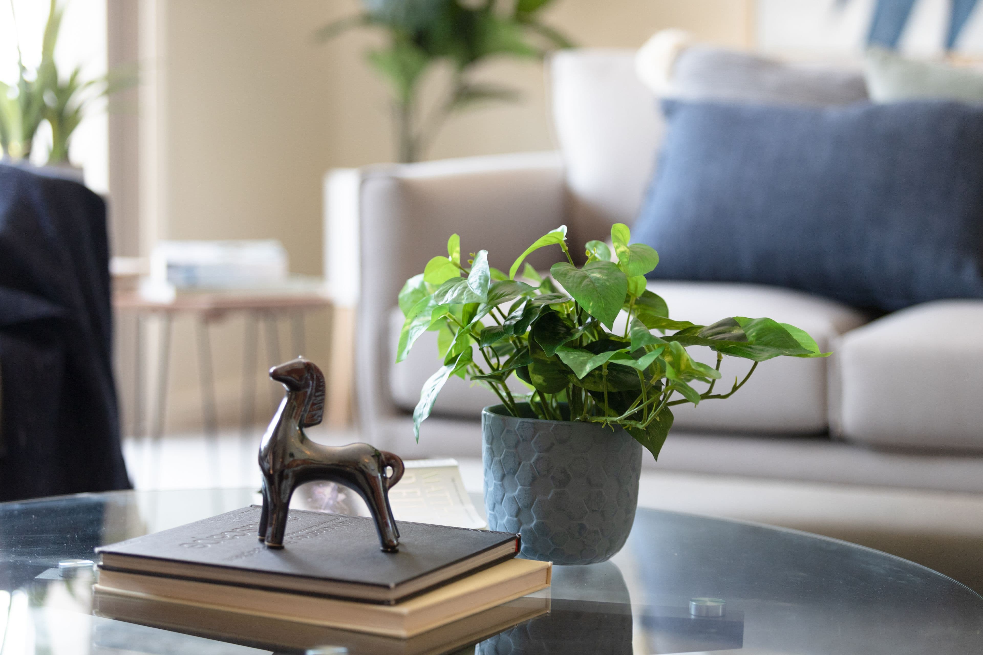 20 Bindel Place, Aranda ACT 2614, Aranda - Thumbnail 8