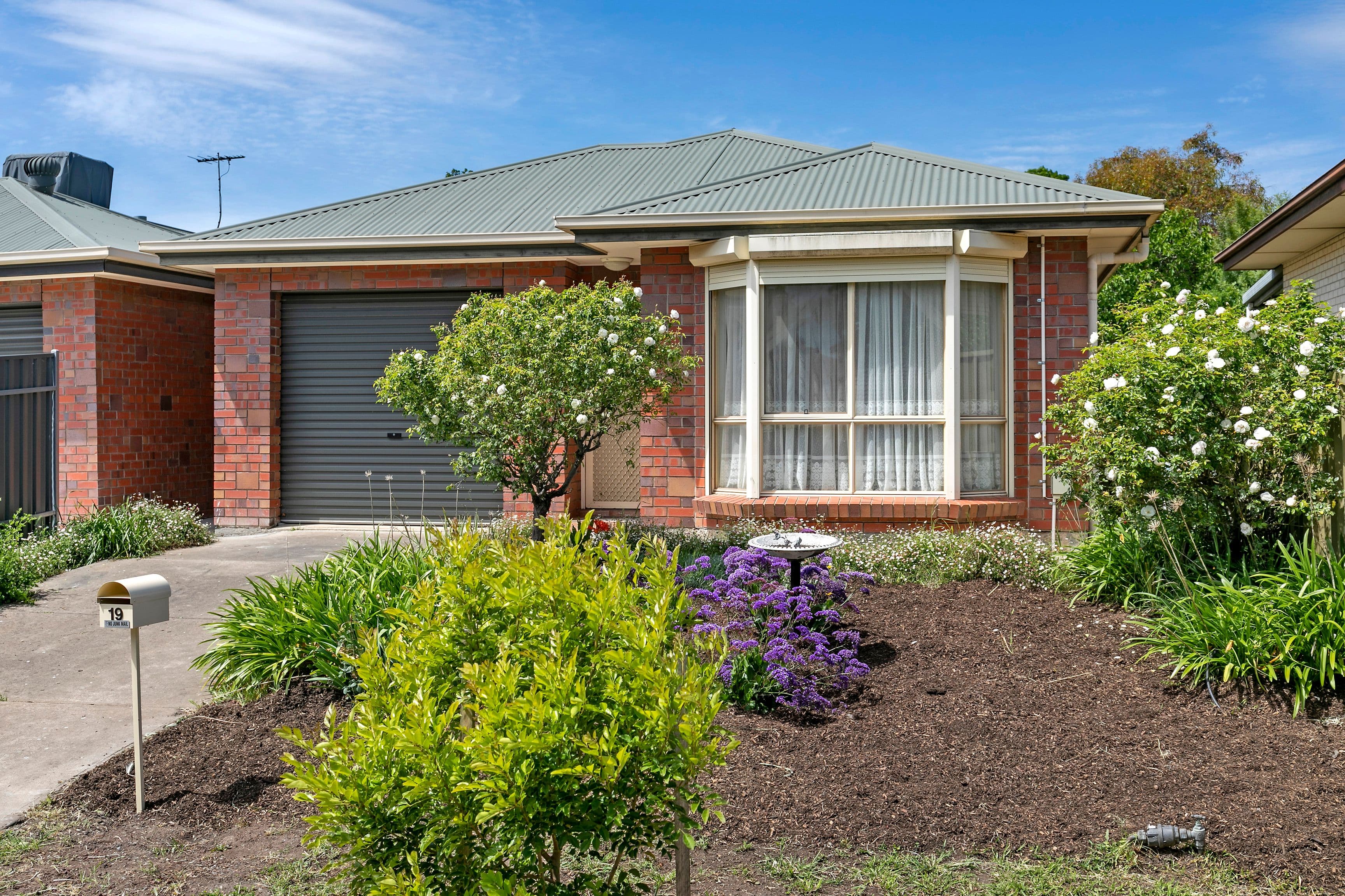 19 Ashley Avenue, Ridgehaven SA 5097, Ridgehaven - Image 1