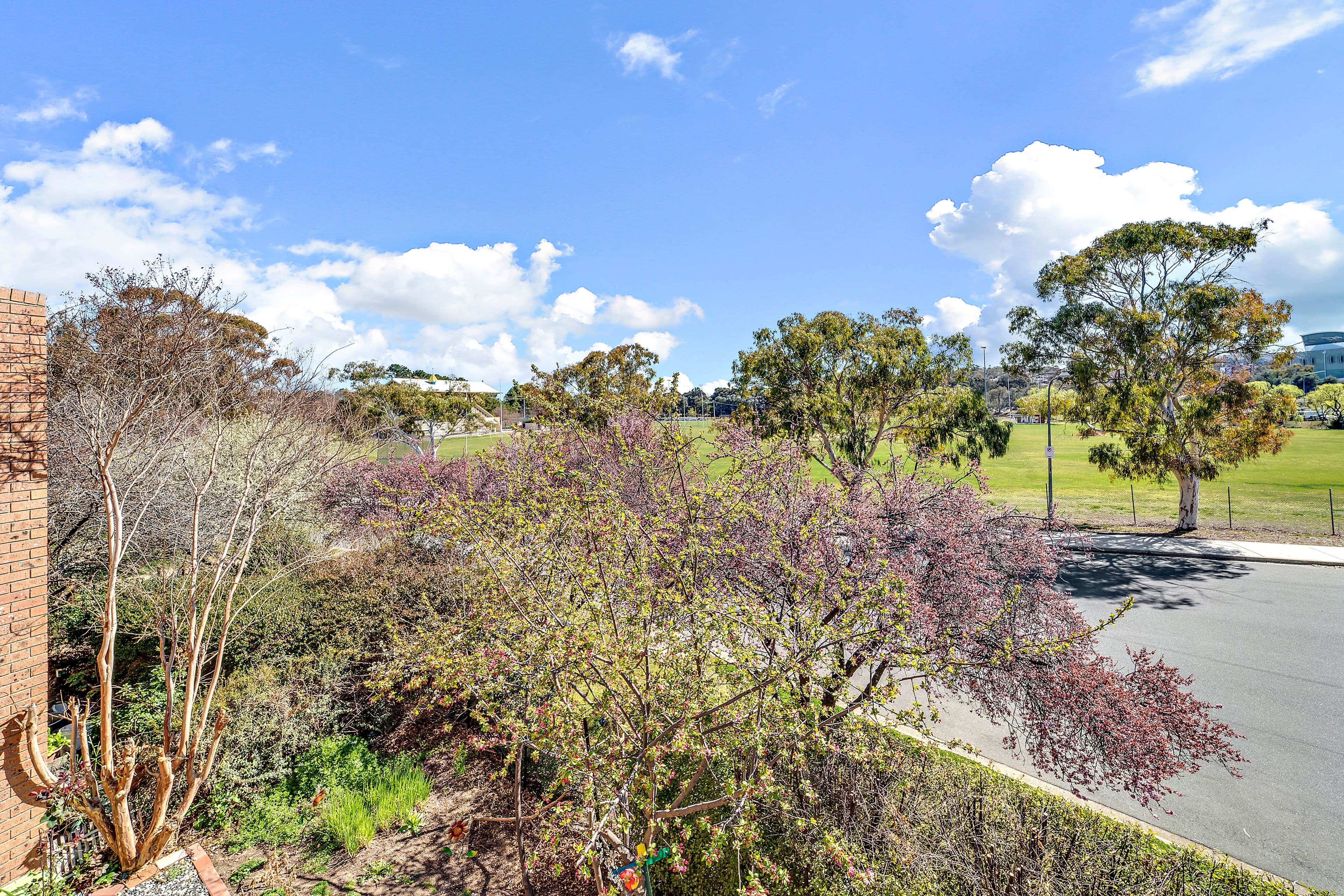 4C 12 Albermarle Place, Phillip ACT 2606, Phillip - Image 1