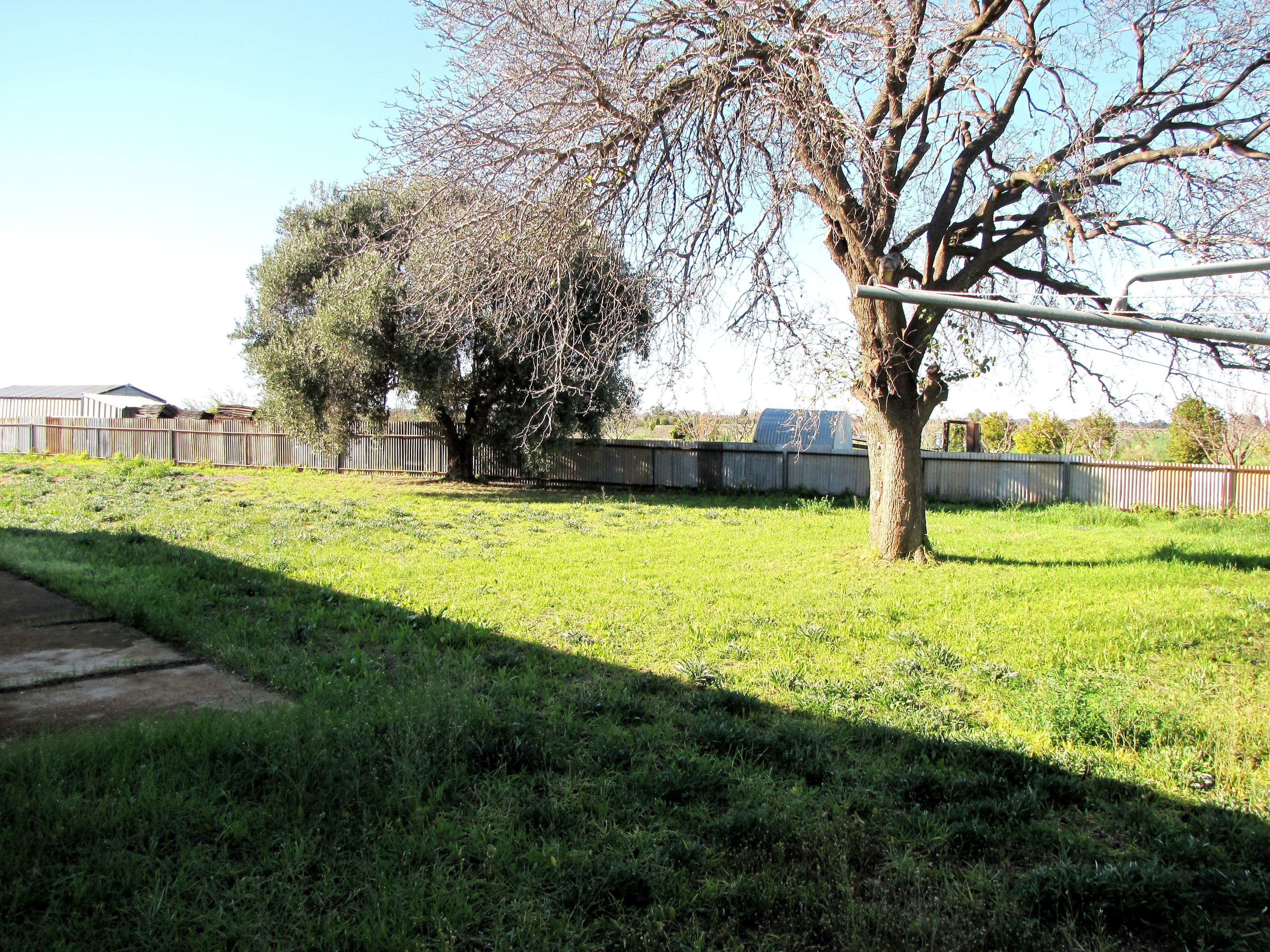 58 Anderson Road, Loxton North SA 5333, Loxton North - Thumbnail 7