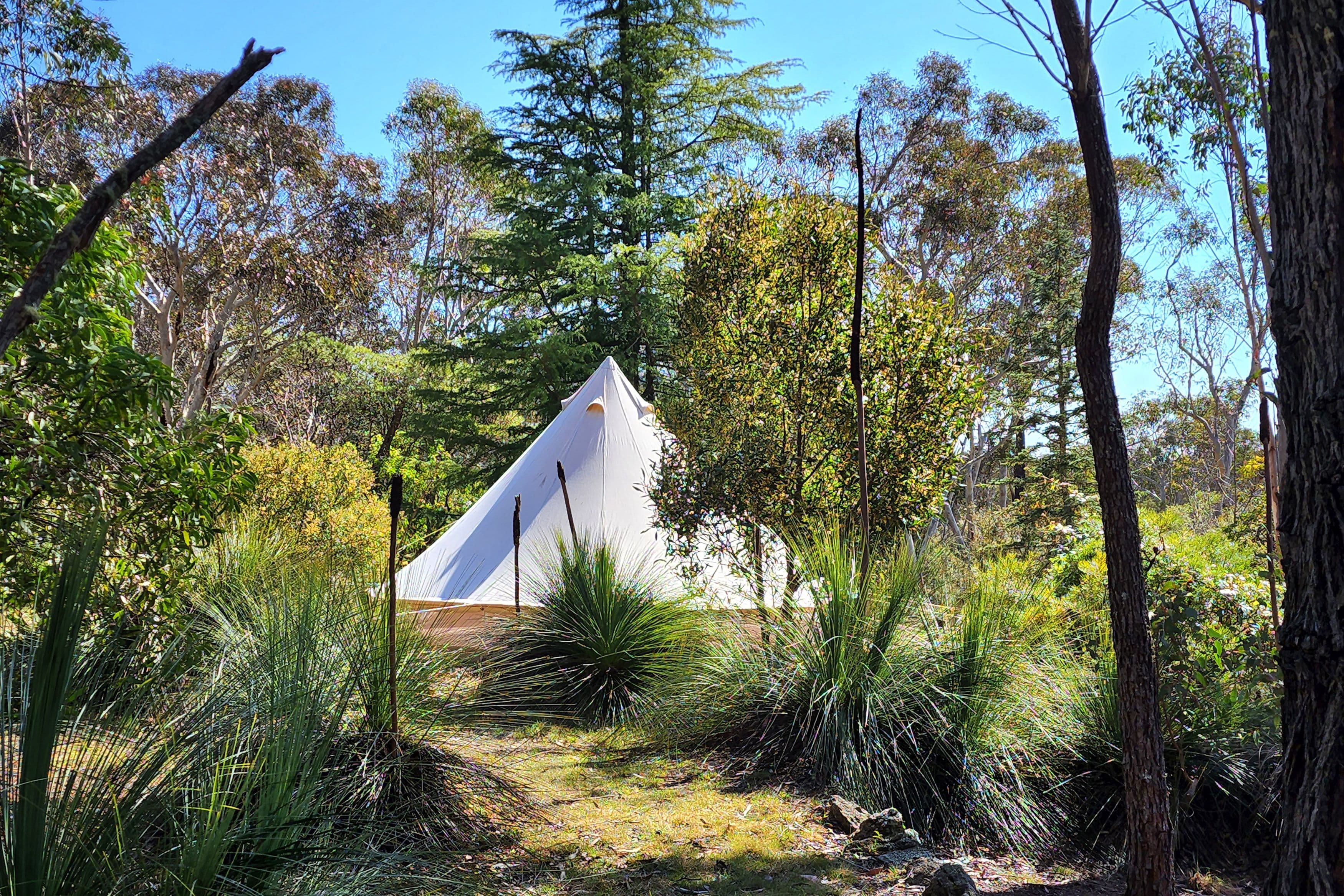 10-12 Pulpit Rock Road, Blackheath NSW 2785, Blackheath - Thumbnail 5