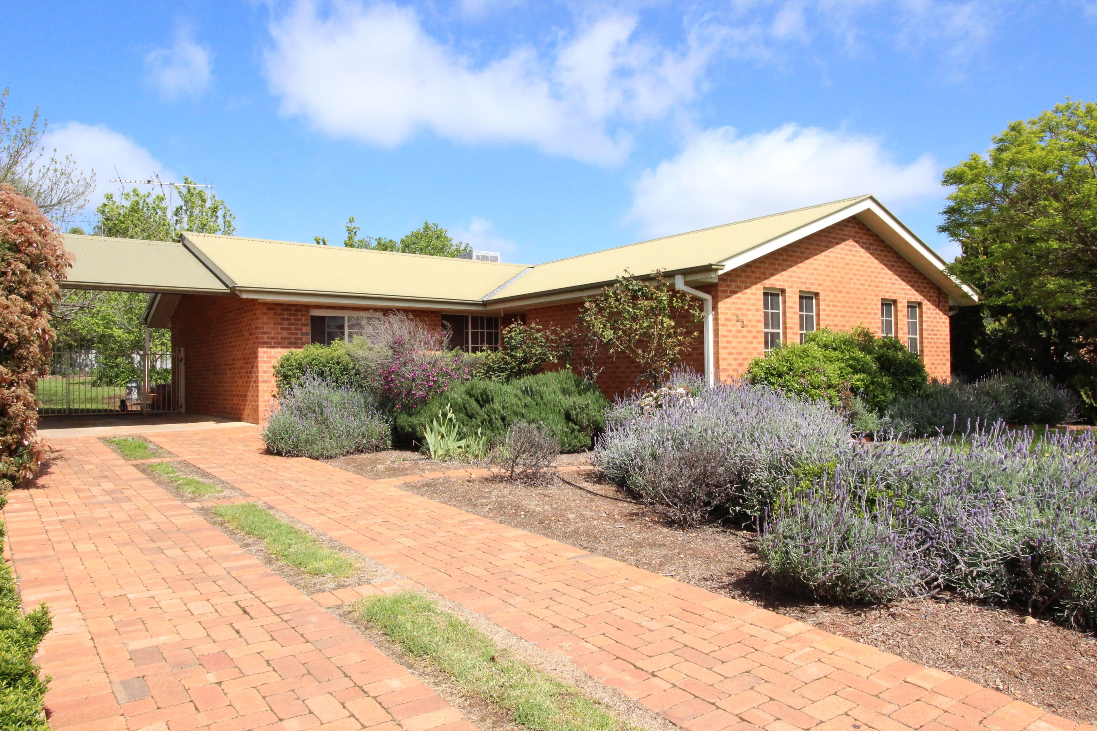 22 Williams Street, Temora - Image 1