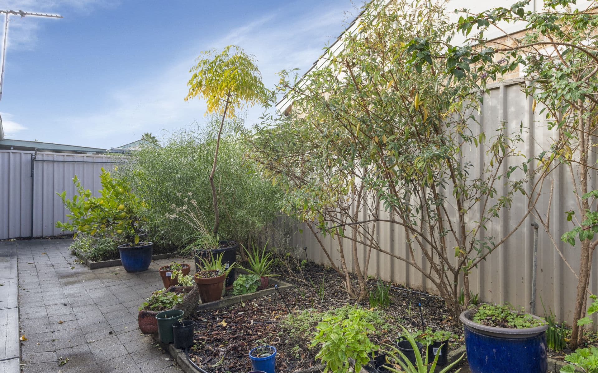 7-13 Cedar Avenue, Flinders Park SA 5025, Flinders Park - Thumbnail 8