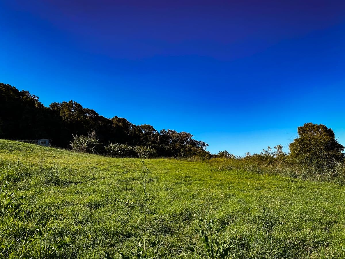 2-12 Cliff Road, Tamborine Mountain QLD 4272, Tamborine Mountain - Thumbnail 2