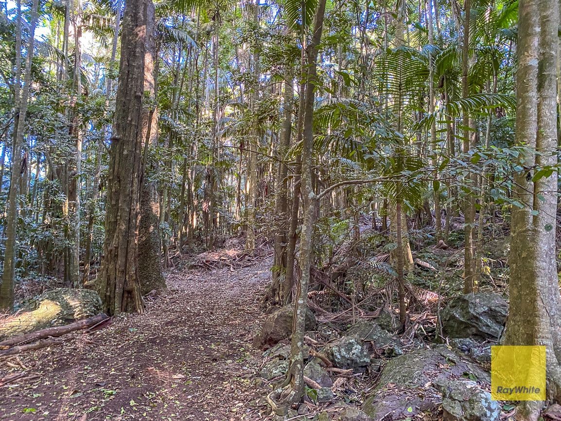 2-12 Cliff Road, Tamborine Mountain QLD 4272, Tamborine Mountain - Thumbnail 4
