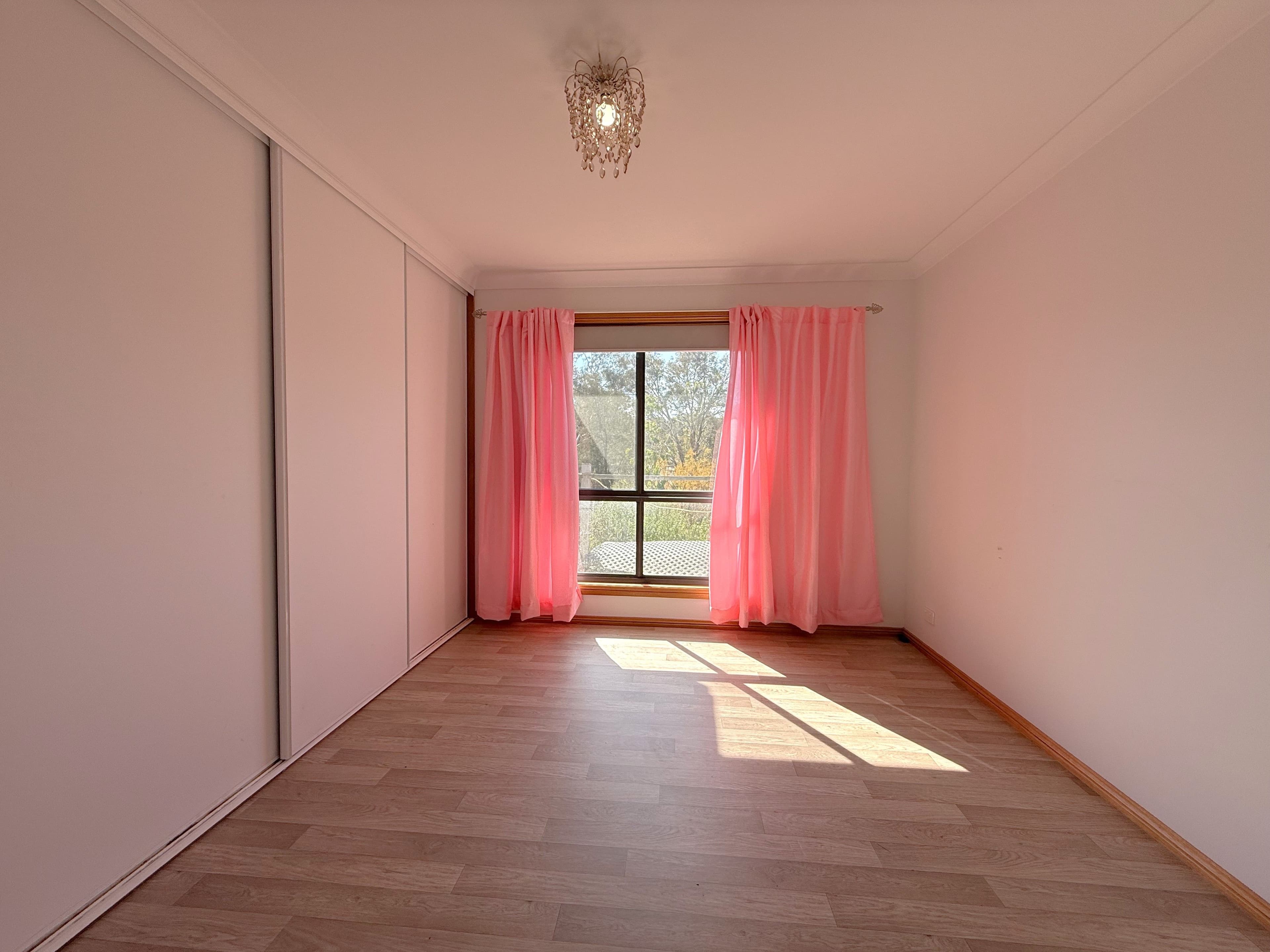 28 Boyds Lane, Young NSW 2594, Young - Thumbnail 7