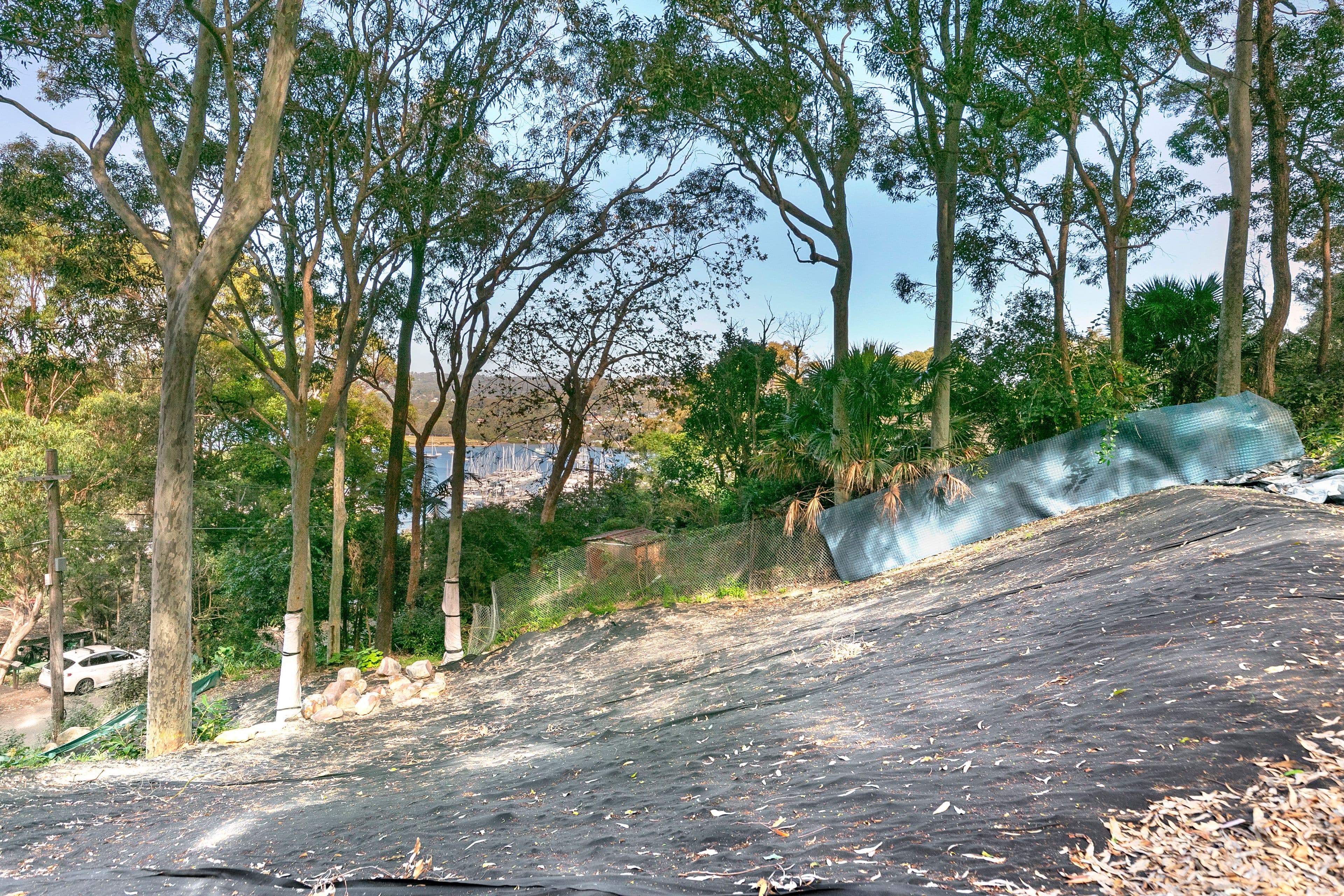 76 Wallumatta Road, Newport NSW 2106, Newport - Thumbnail 5
