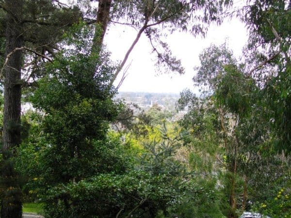 5 Panorama Avenue, RINGWOOD NORTH VIC 3134, Ringwood North - Thumbnail 4