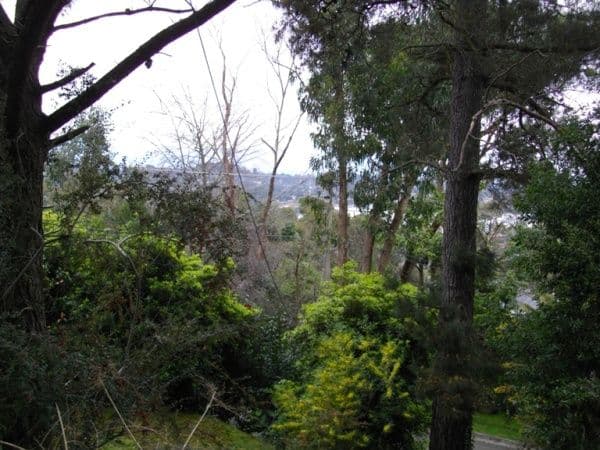 5 Panorama Avenue, RINGWOOD NORTH VIC 3134, Ringwood North - Thumbnail 5