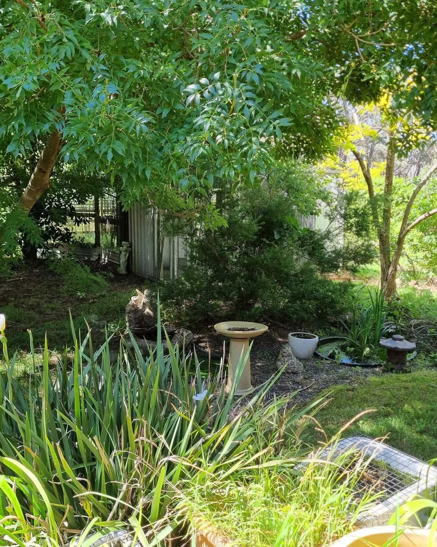 246 Caoura Road Tallong, Tallong - Image 1