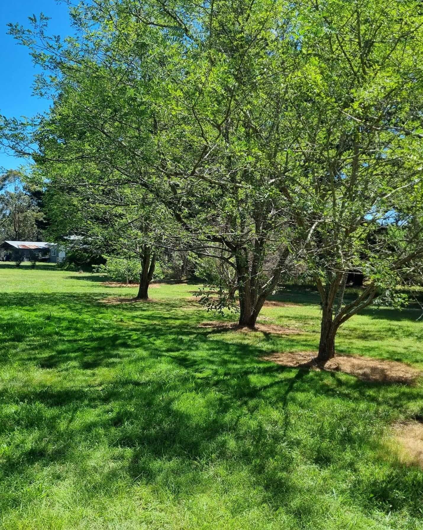 246 Caoura Road Tallong, Tallong - Thumbnail 4