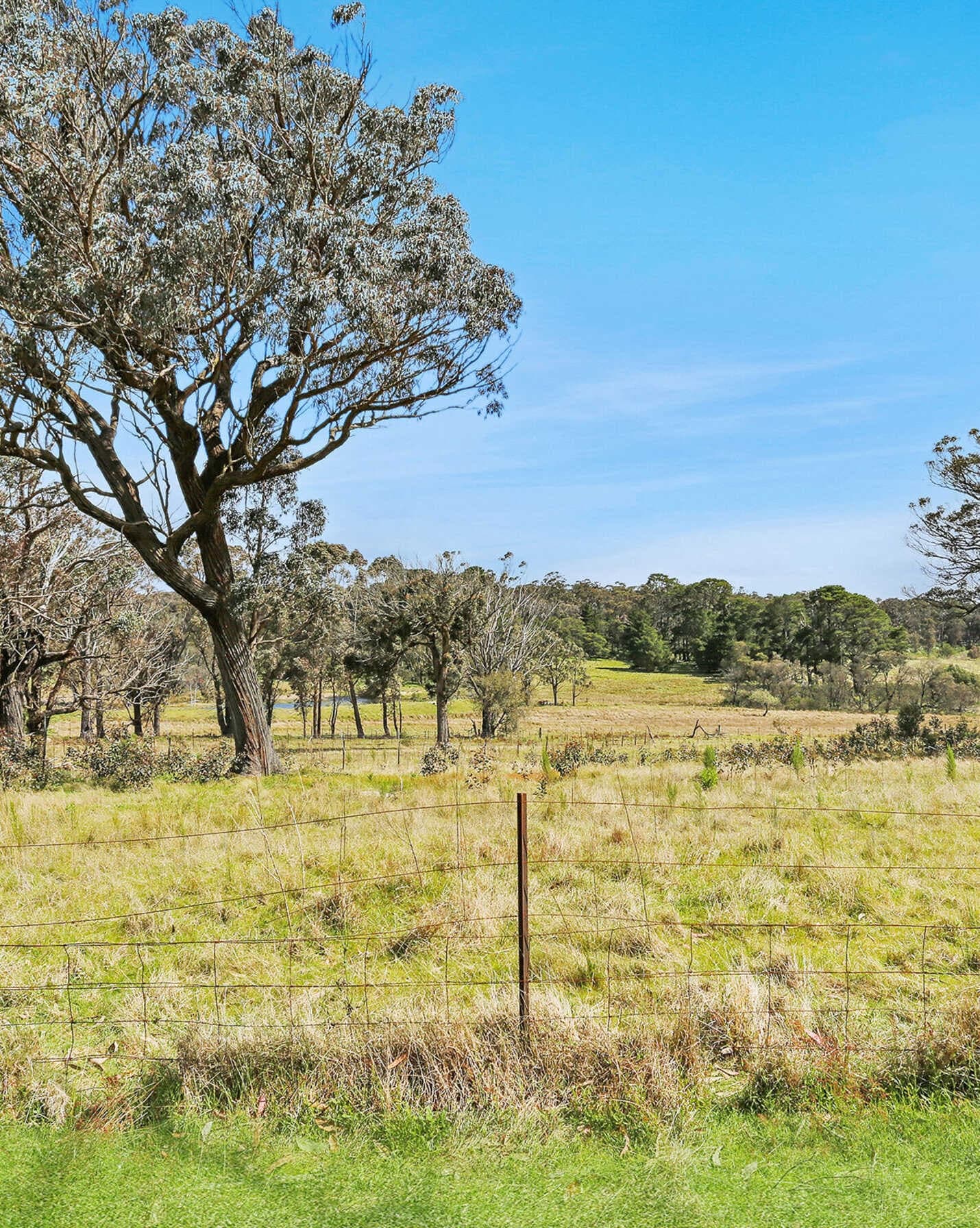 246 Caoura Road Tallong, Tallong - Thumbnail 5