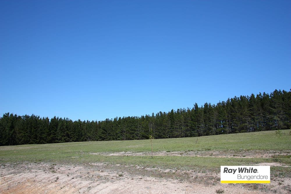 99 Woolshed Lane, Bywong NSW 2621, Bywong - Image 1