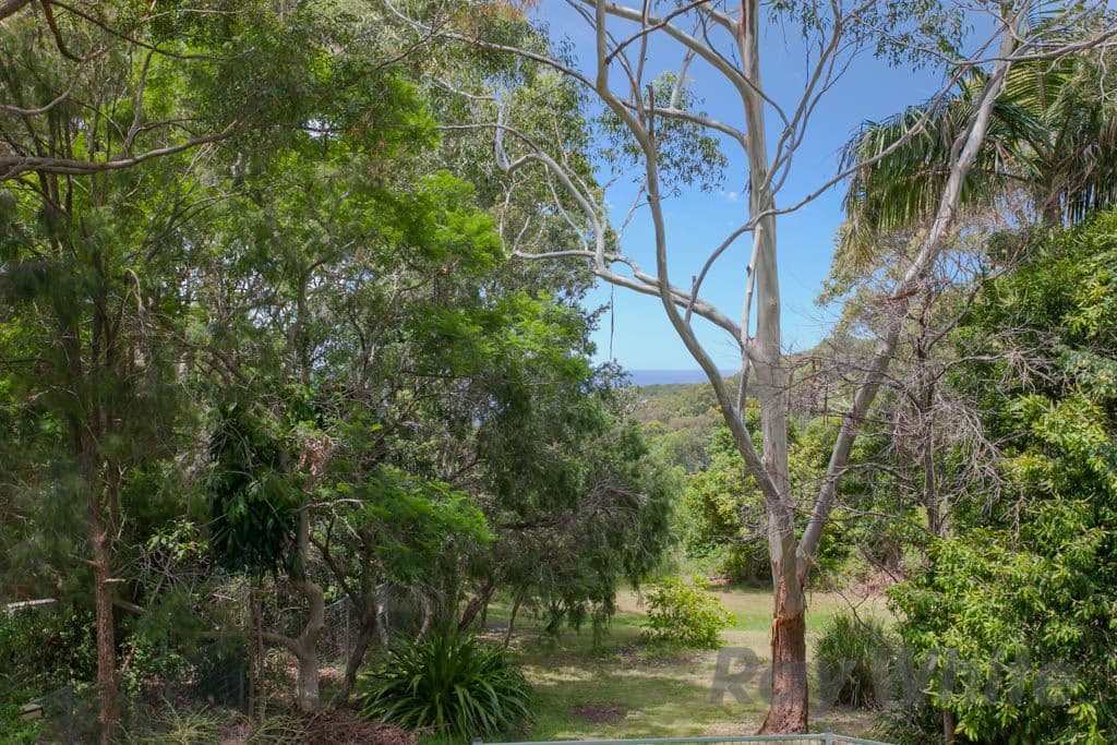 29 Seacourt Avenue, DUDLEY NSW 2290, Dudley - Thumbnail 6