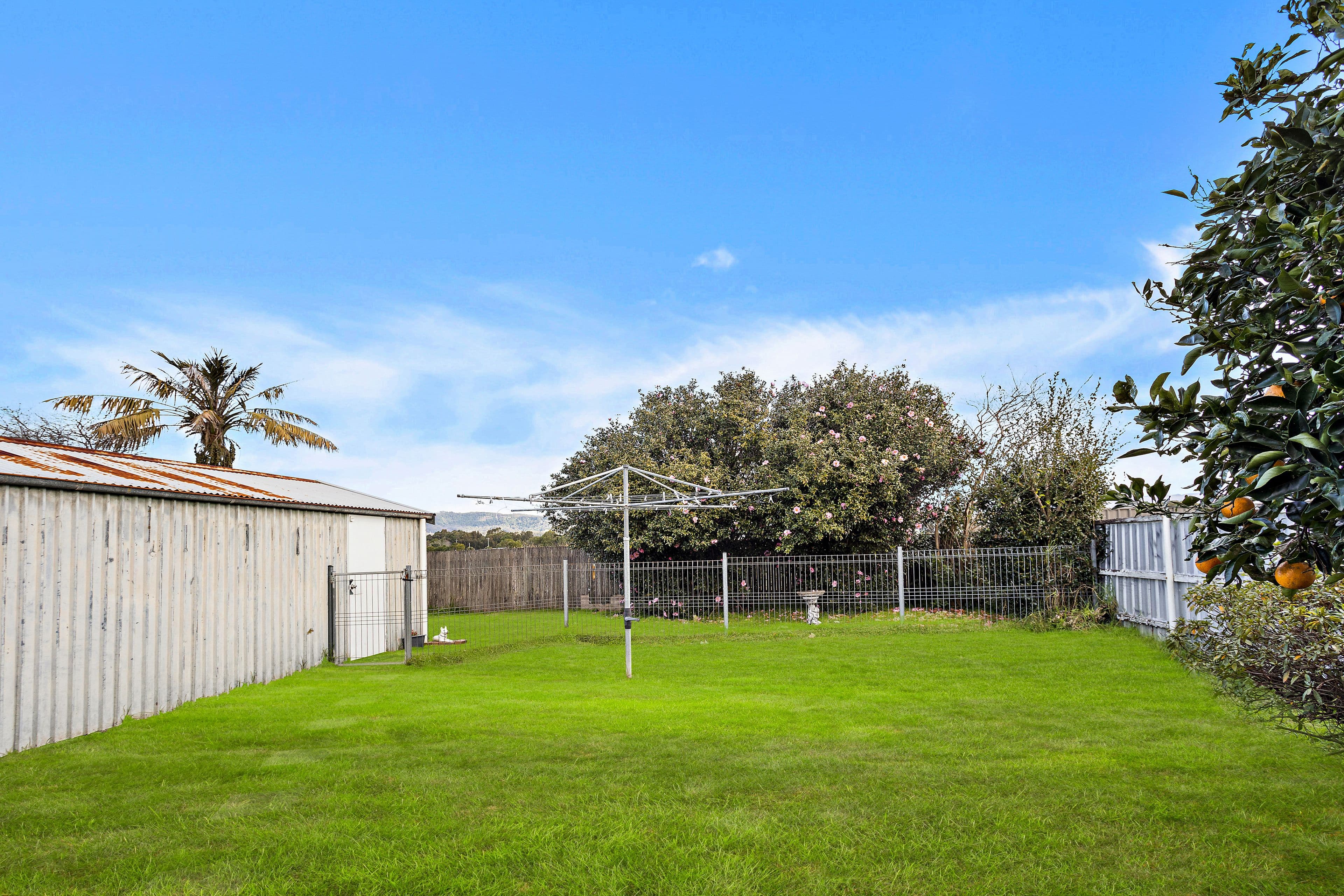 56 Poplar Avenue, Albion Park Rail NSW 2527, Albion Park Rail - Thumbnail 4
