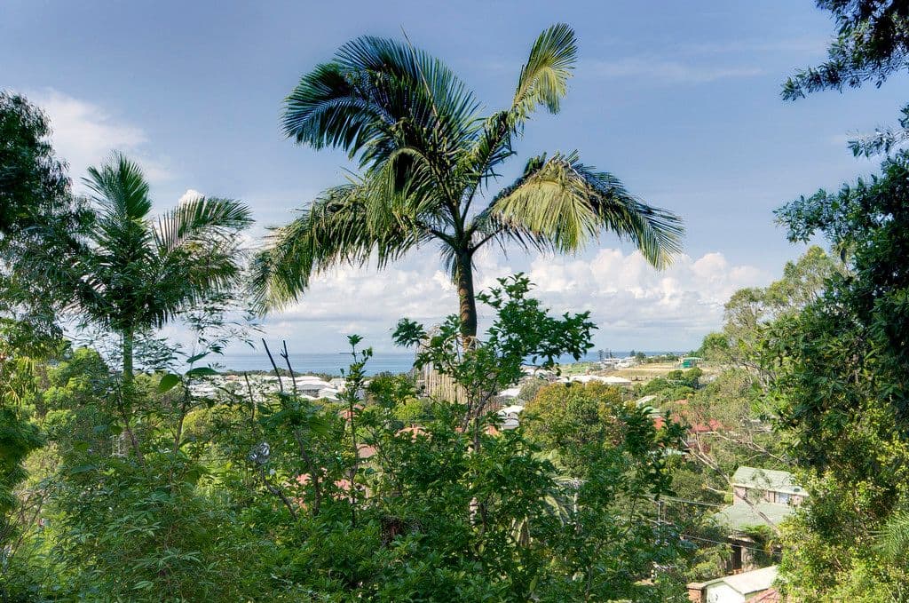 Lot 621 Pass Avenue, THIRROUL NSW 2515, Thirroul - Thumbnail 2