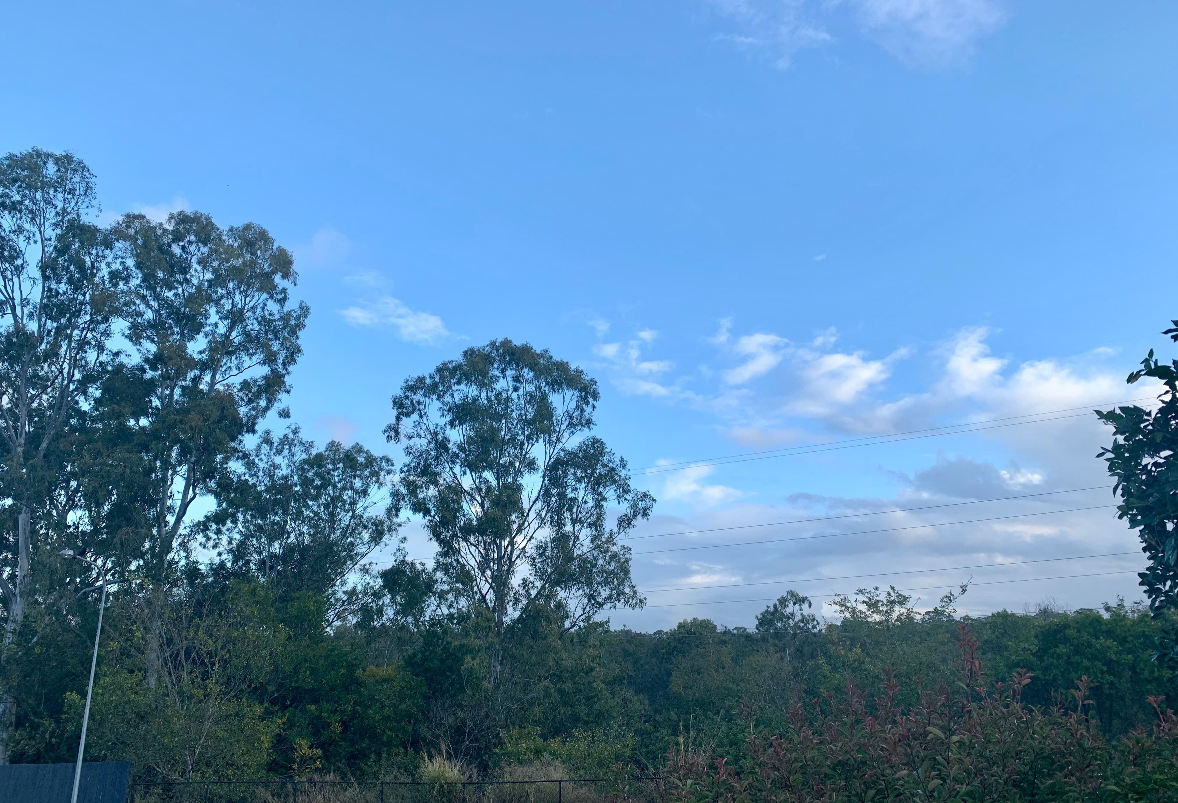 76 Brumby Circuit, Sumner QLD 4074, Sumner - Thumbnail 2