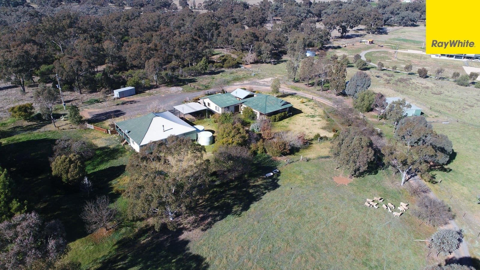 296 South Lead Road, Forbes - Image 1