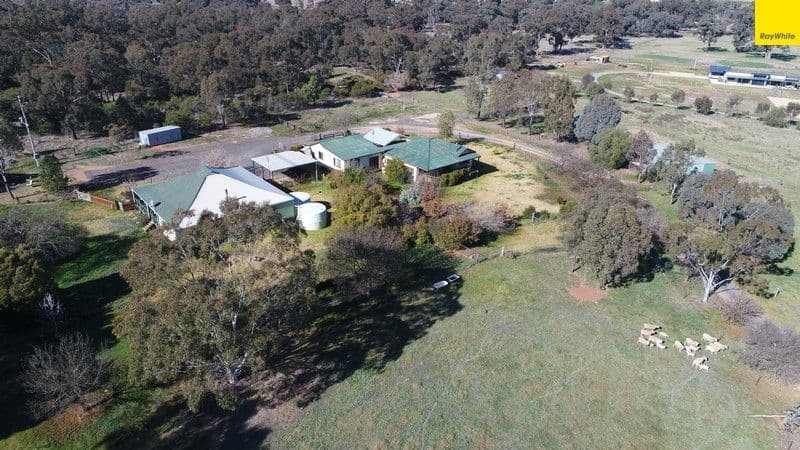 296 South Lead Road, Forbes - Thumbnail 2