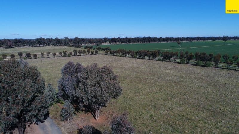 296 South Lead Road, Forbes - Thumbnail 4