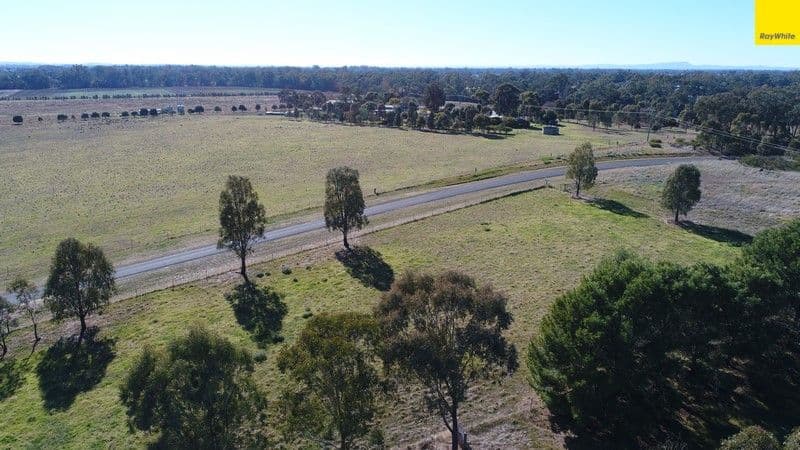 296 South Lead Road, Forbes - Thumbnail 6