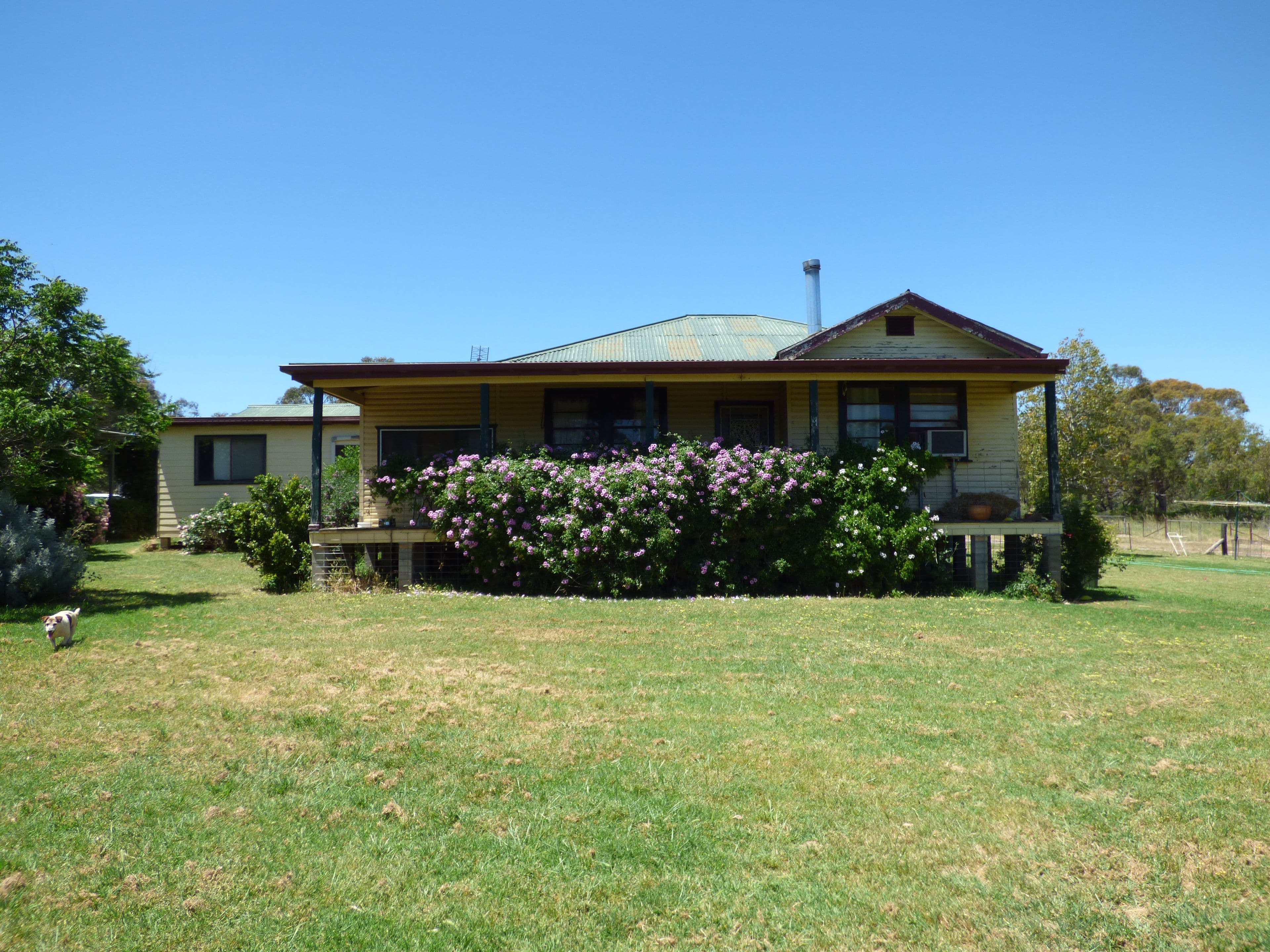 296 South Lead Road, Forbes - Thumbnail 7