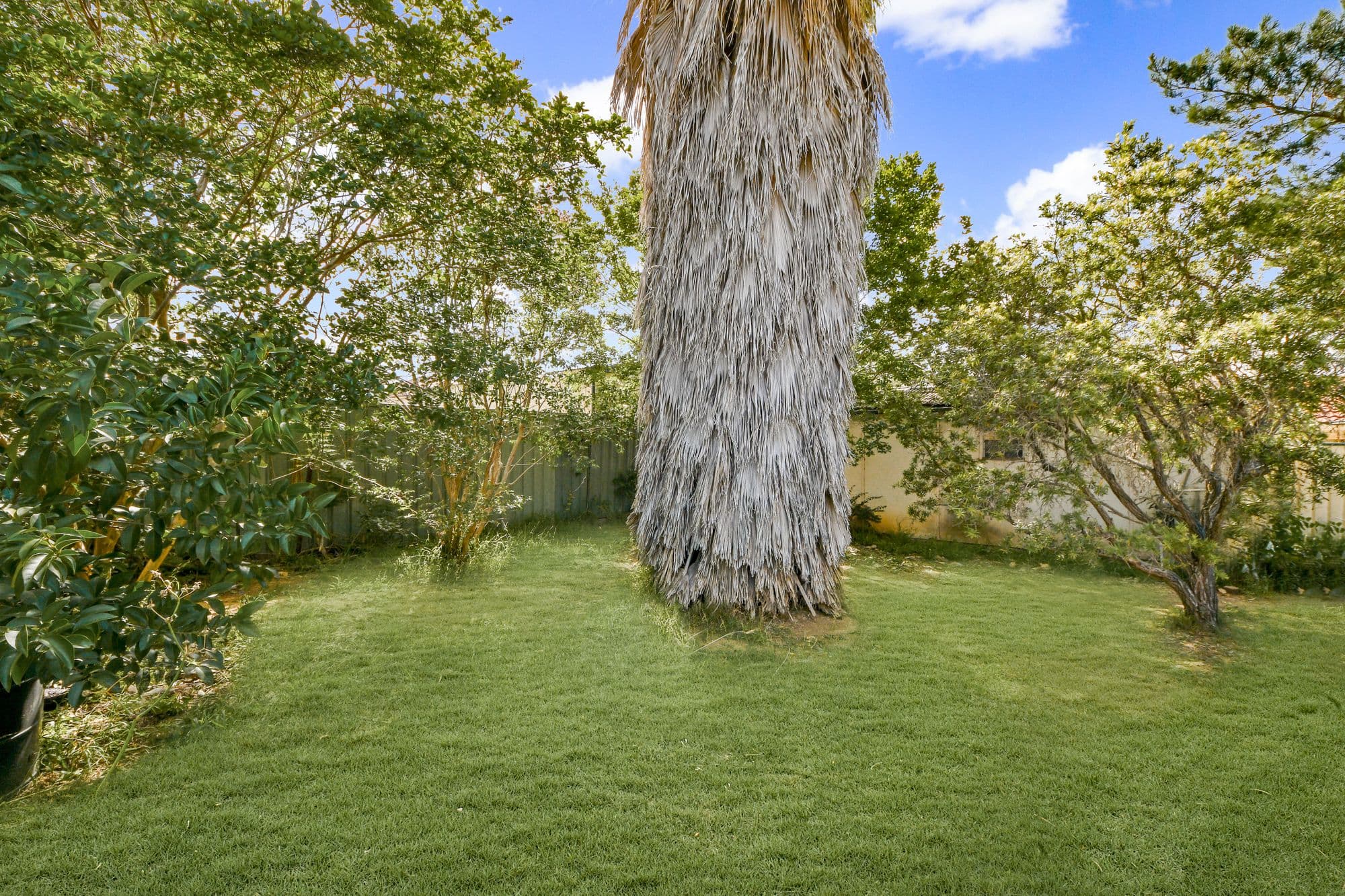 61 Allman Street, Campbelltown - Thumbnail 6