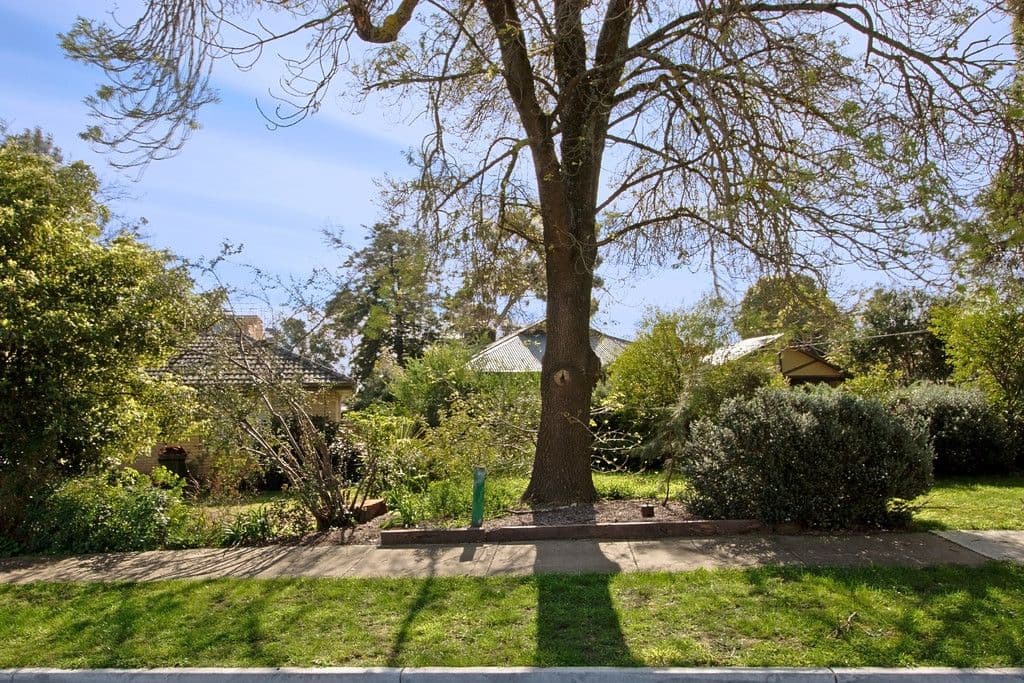 3 Alwyn Street, BAYSWATER VIC 3153, Bayswater - Thumbnail 4