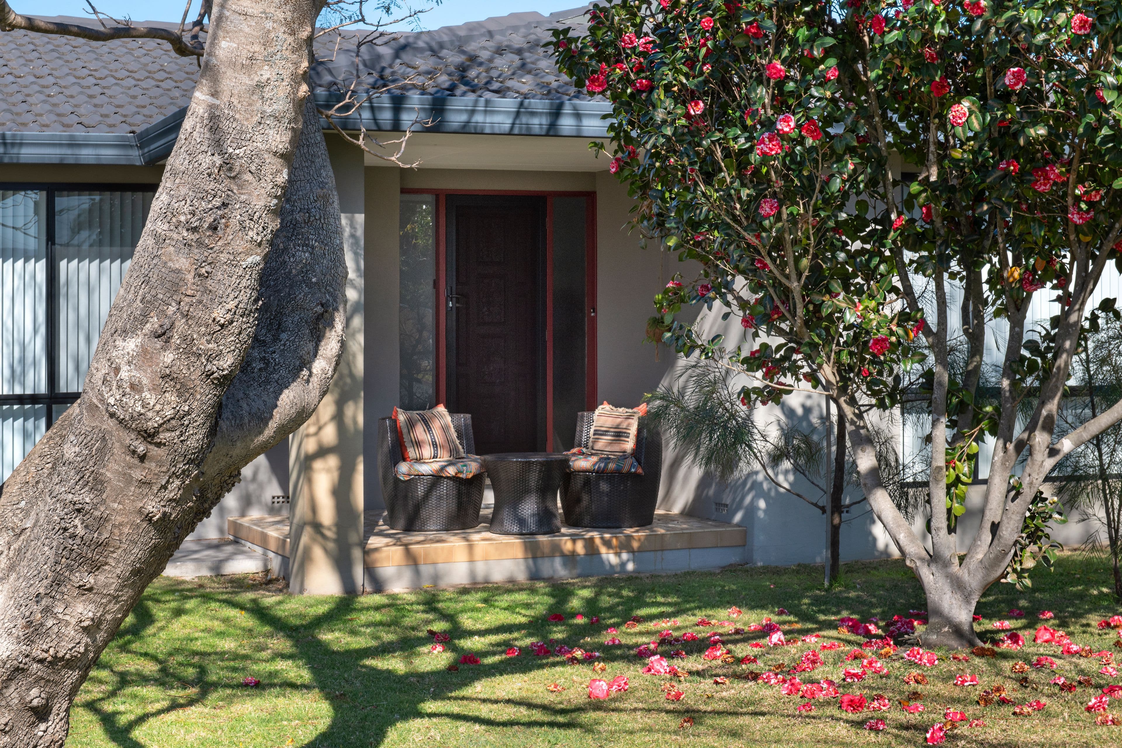8 Davison Drive, Shoalhaven Heads NSW 2535, Shoalhaven Heads - Thumbnail 2