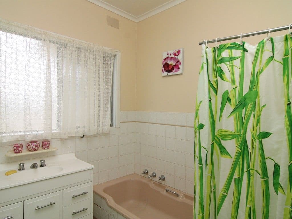 14 Scott Avenue, Barmera SA 5345, Barmera - Thumbnail 6