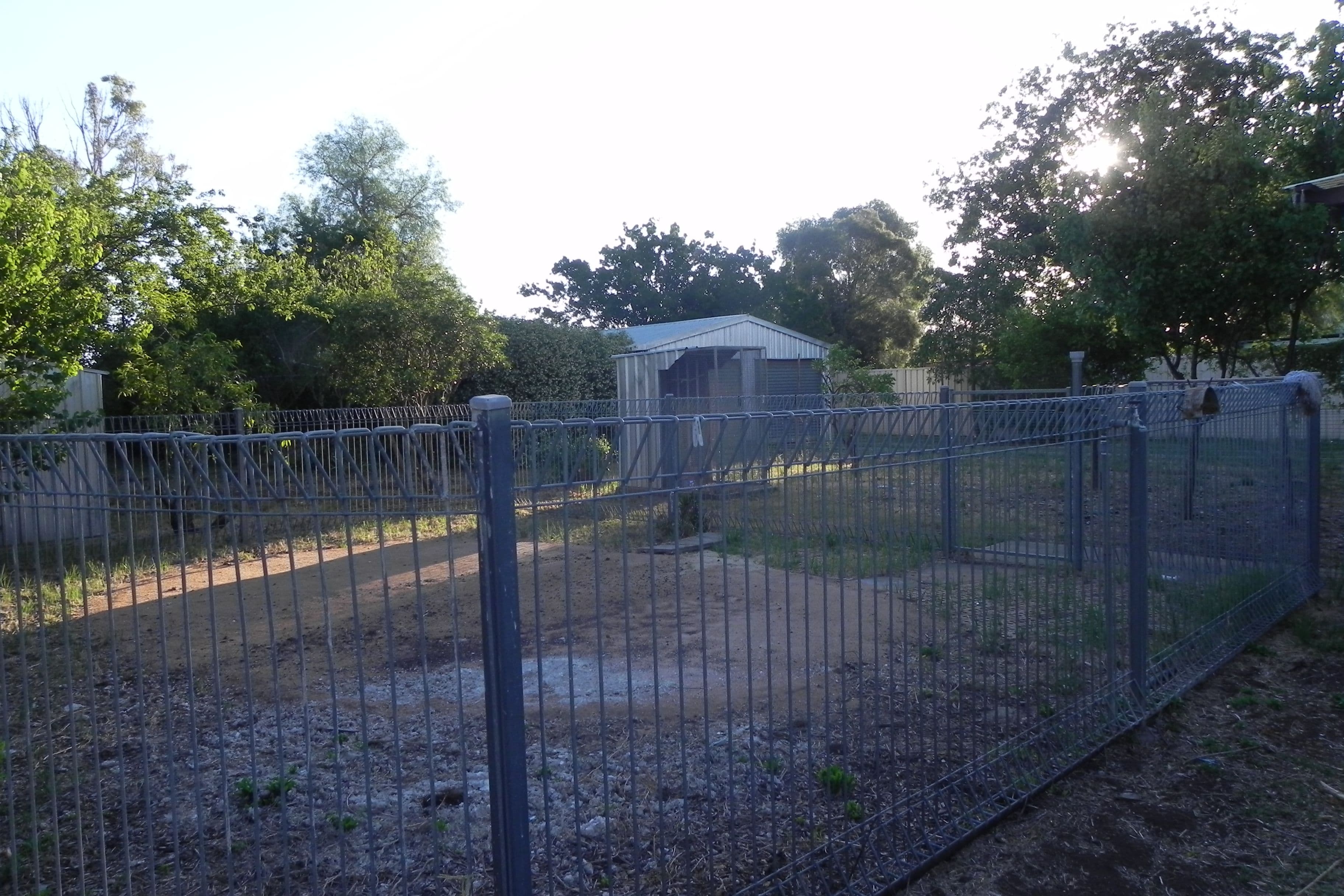 68 Hume, Pittsworth QLD 4356, Pittsworth - Thumbnail 8