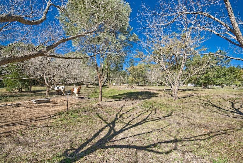 1048 Laceys Creek, DAYBORO QLD 4521, Dayboro - Thumbnail 7