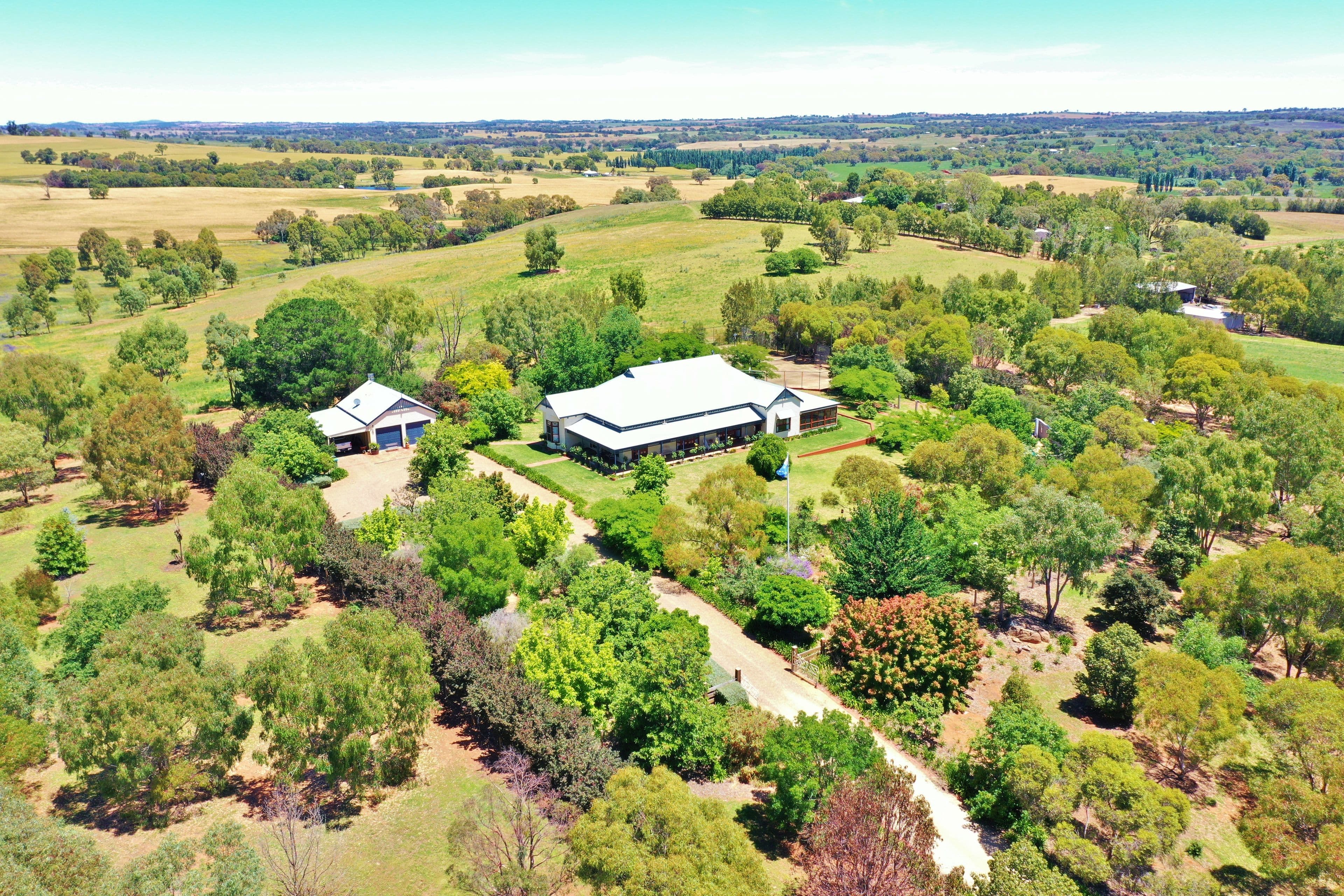 288 Pine Road Kingsvale via, Young NSW 2594, Young - Thumbnail 2