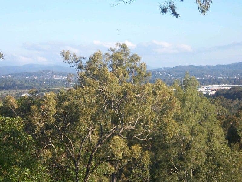 8-12 Penelope Court, CORNUBIA QLD 4130, Cornubia - Thumbnail 2