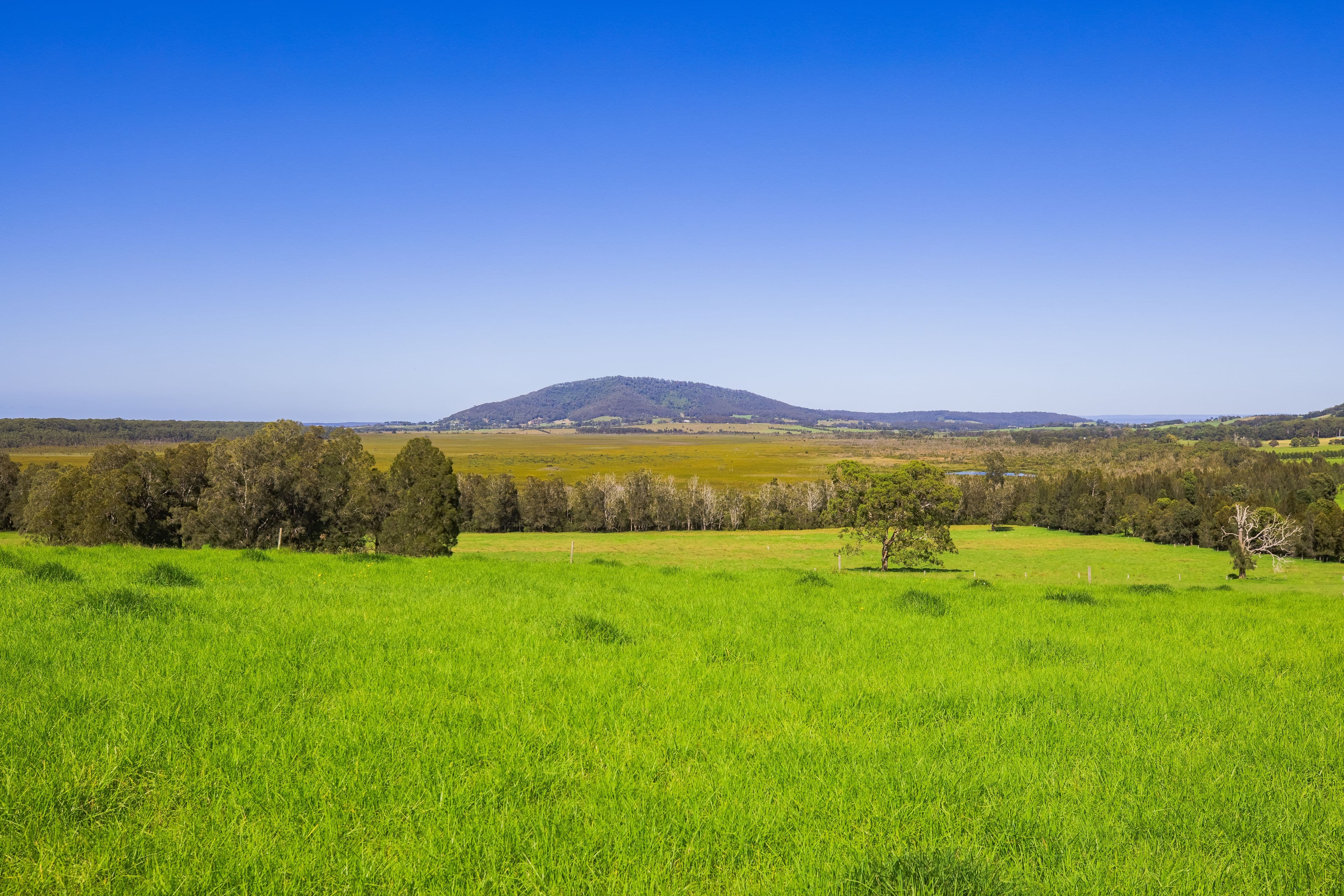 Lot 19 'Serenity Ridge' - 510 Beach Road, Berry NSW 2535, Berry - Thumbnail 6