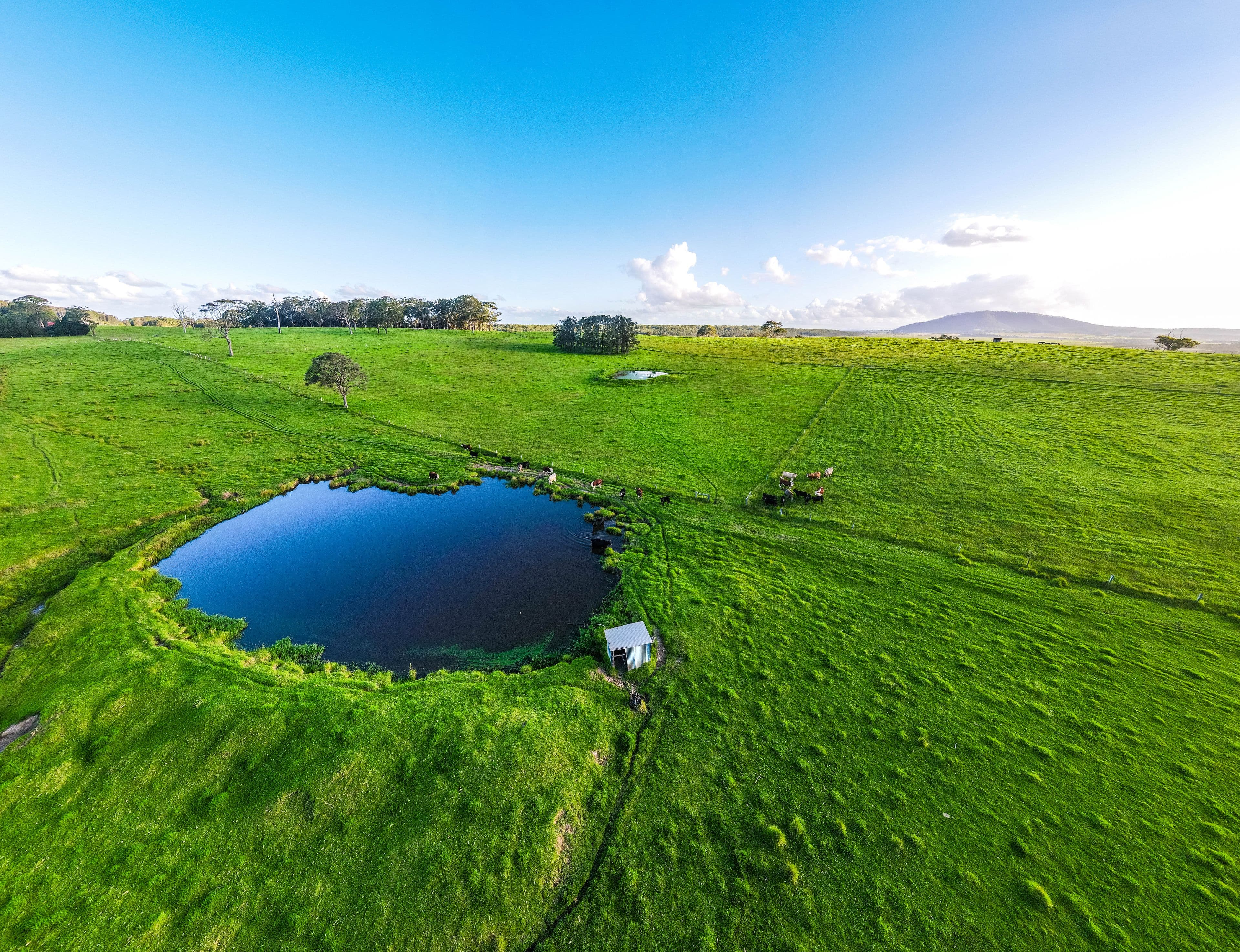 Lot 19 'Serenity Ridge' - 510 Beach Road, Berry NSW 2535, Berry - Thumbnail 8
