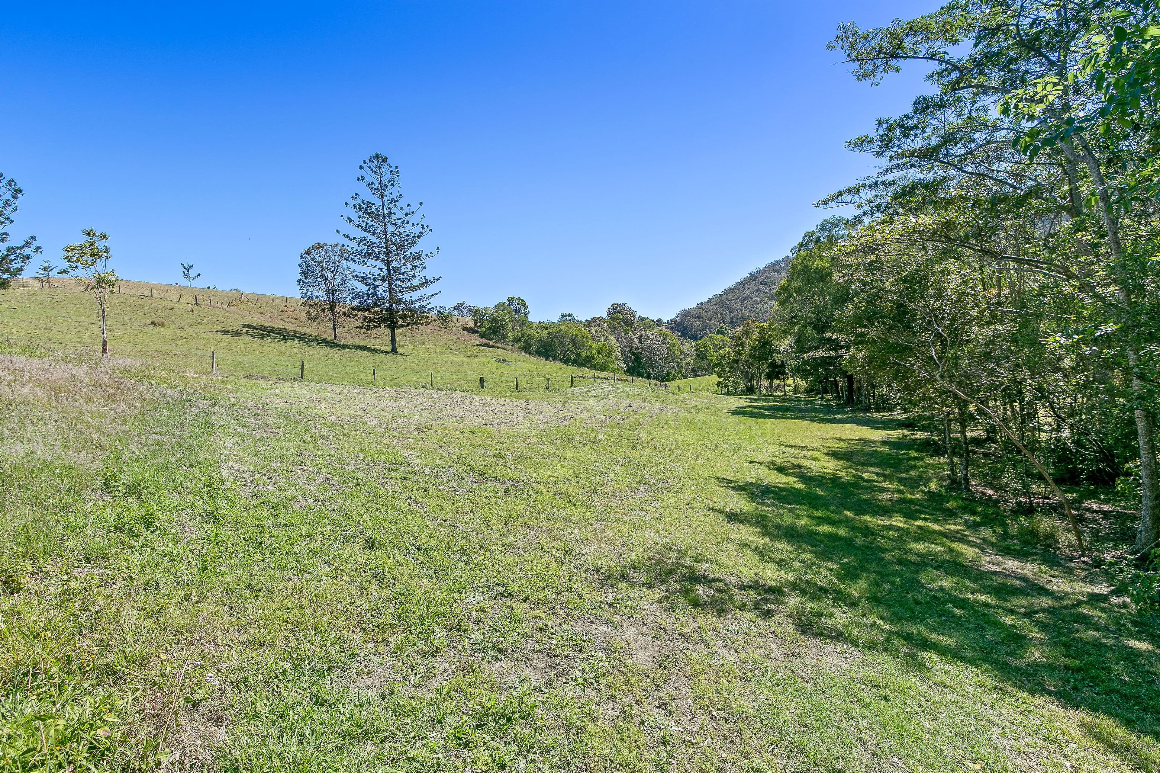 207 Herron Road, Cedar Creek QLD 4520, Cedar Creek - Thumbnail 3
