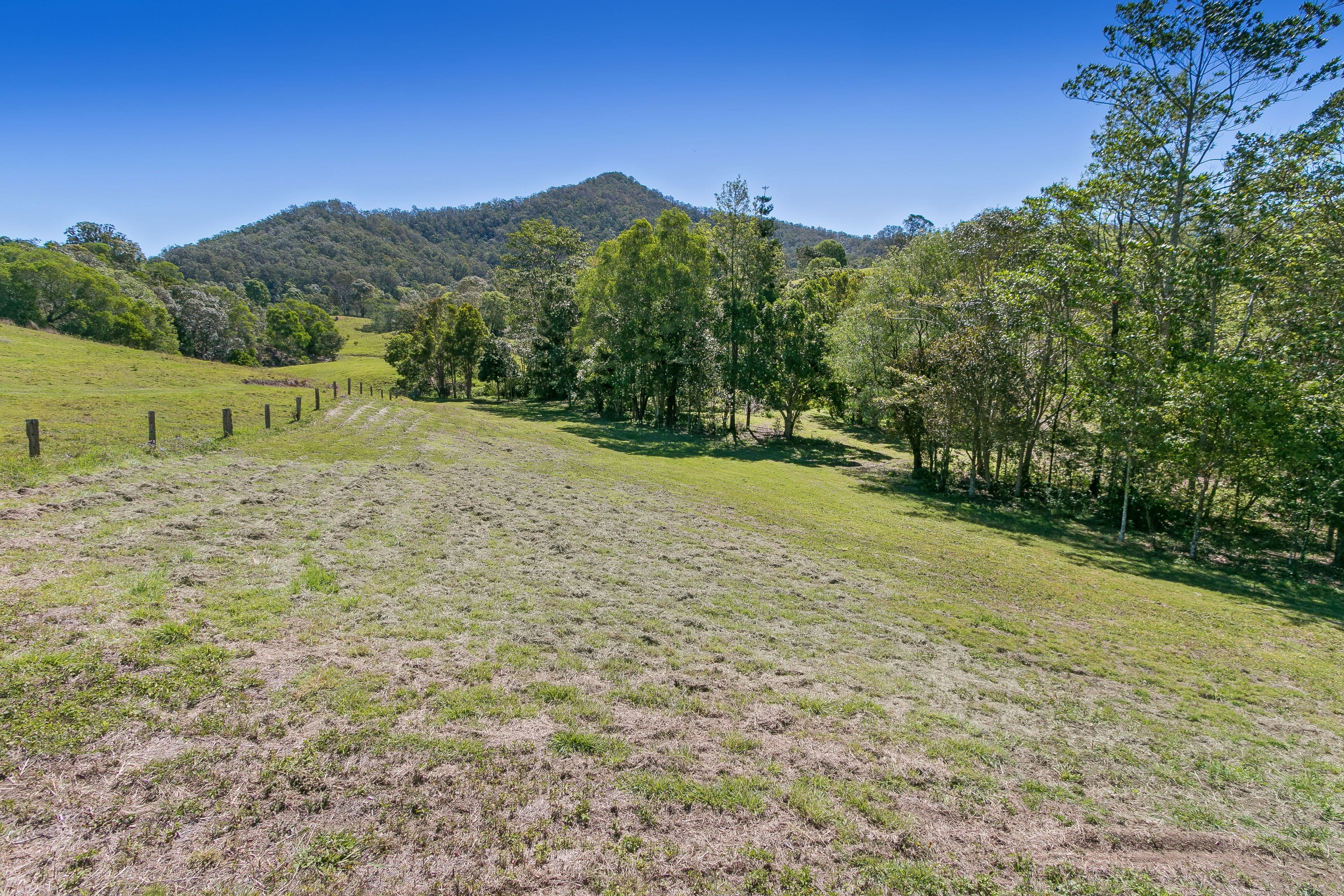 207 Herron Road, Cedar Creek QLD 4520, Cedar Creek - Thumbnail 4
