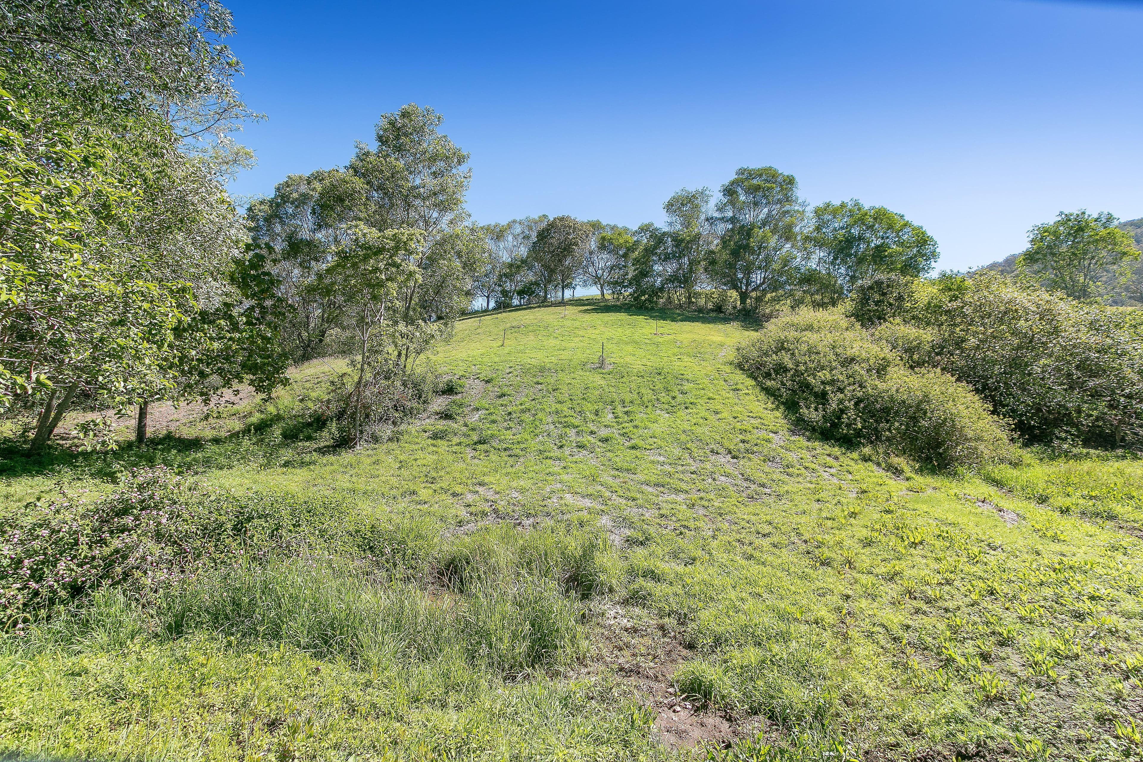 207 Herron Road, Cedar Creek QLD 4520, Cedar Creek - Thumbnail 5