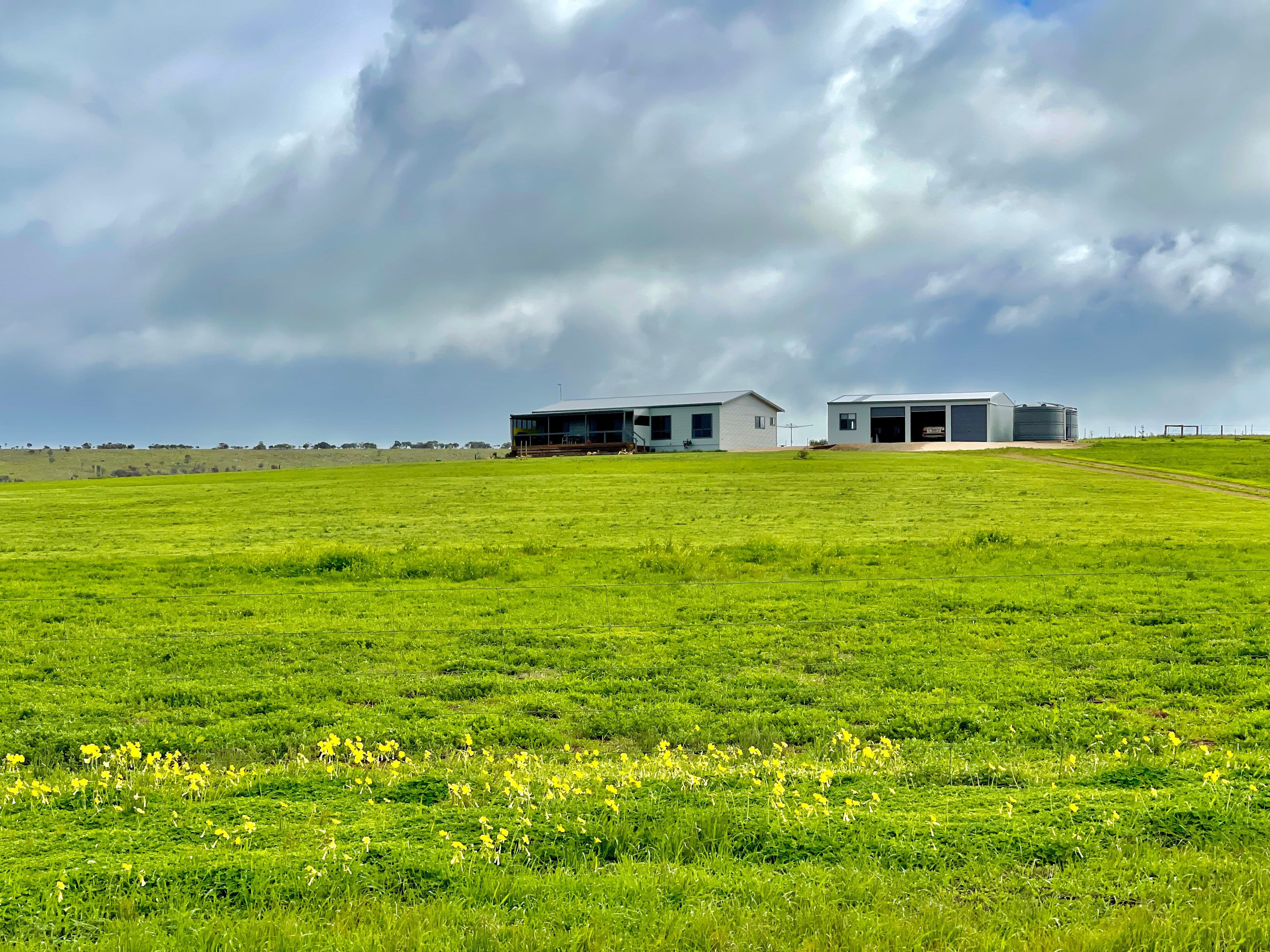 37 Harris Road, Lipson SA 5607, Lipson - Image 1