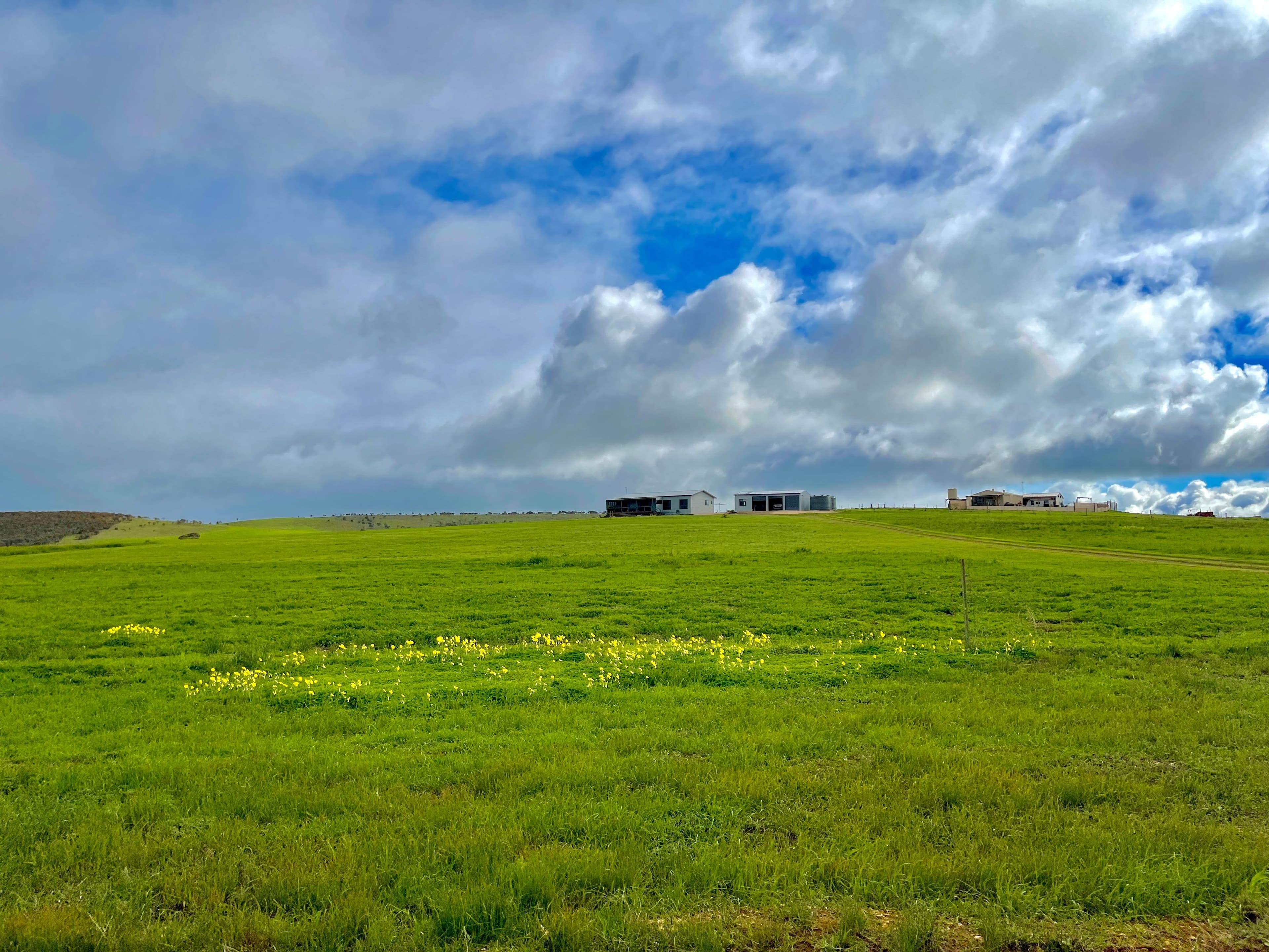 37 Harris Road, Lipson SA 5607, Lipson - Thumbnail 2