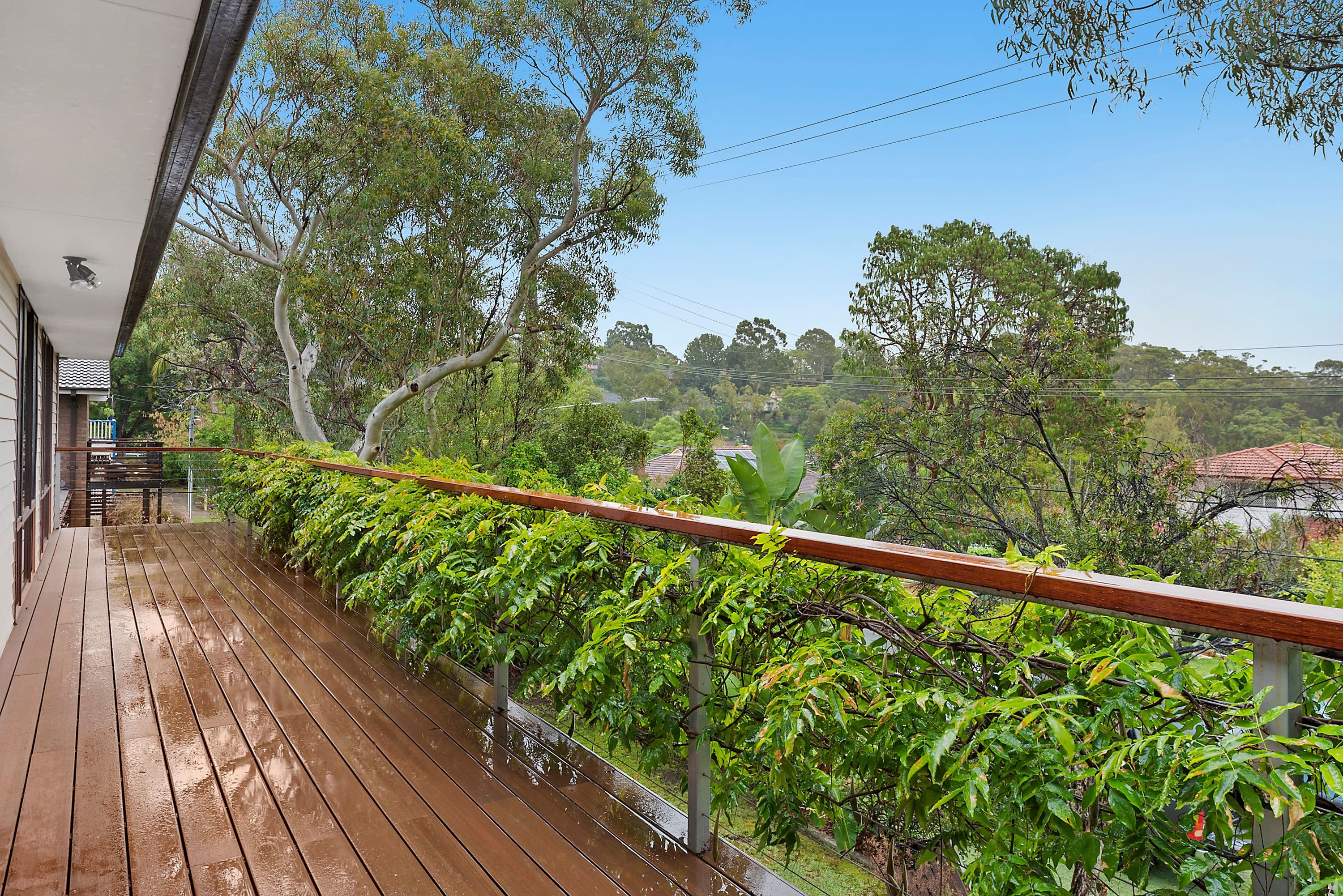 16 Evans Road, Hornsby Heights - Thumbnail 7